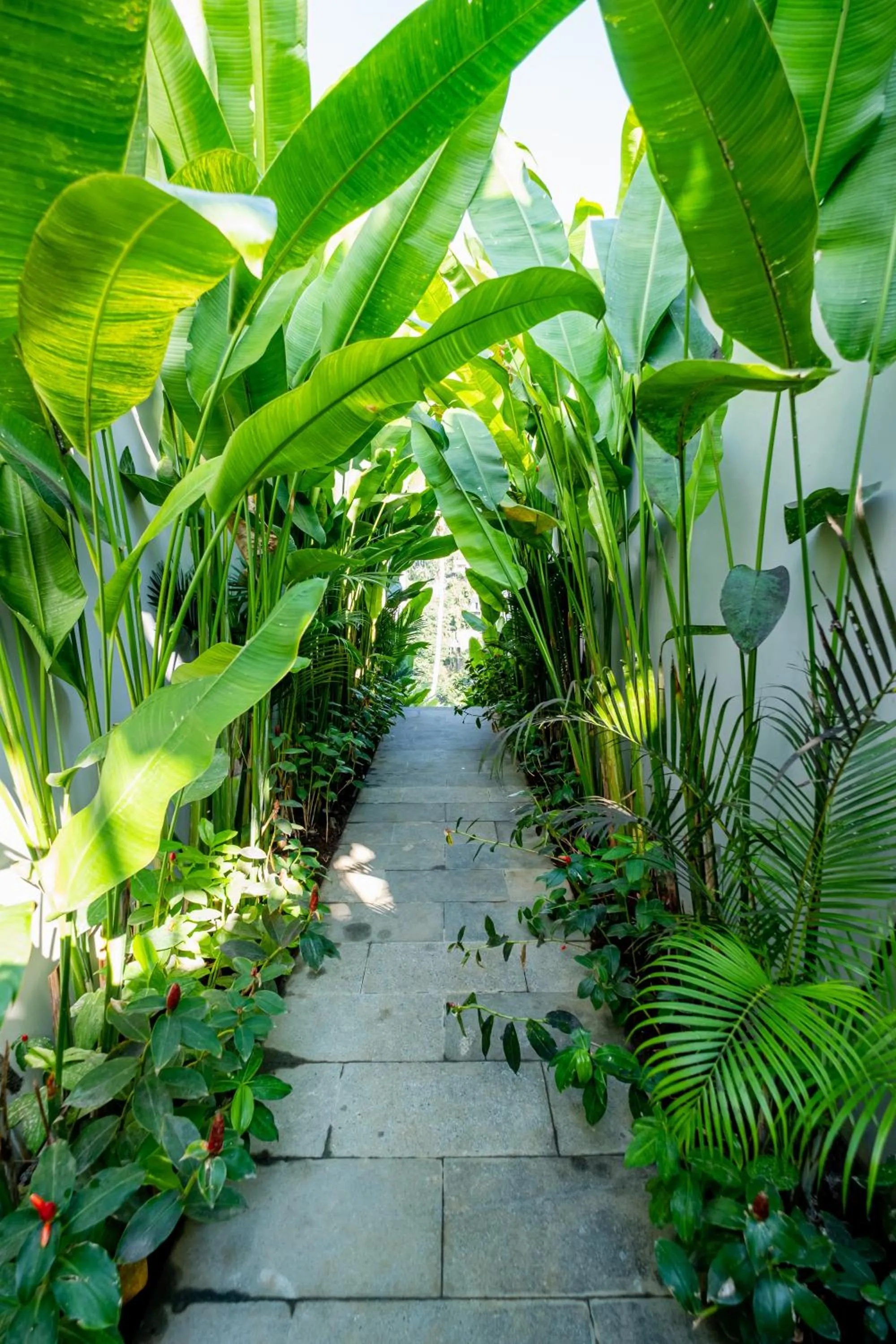 Garden in LeRosa Valley Resort