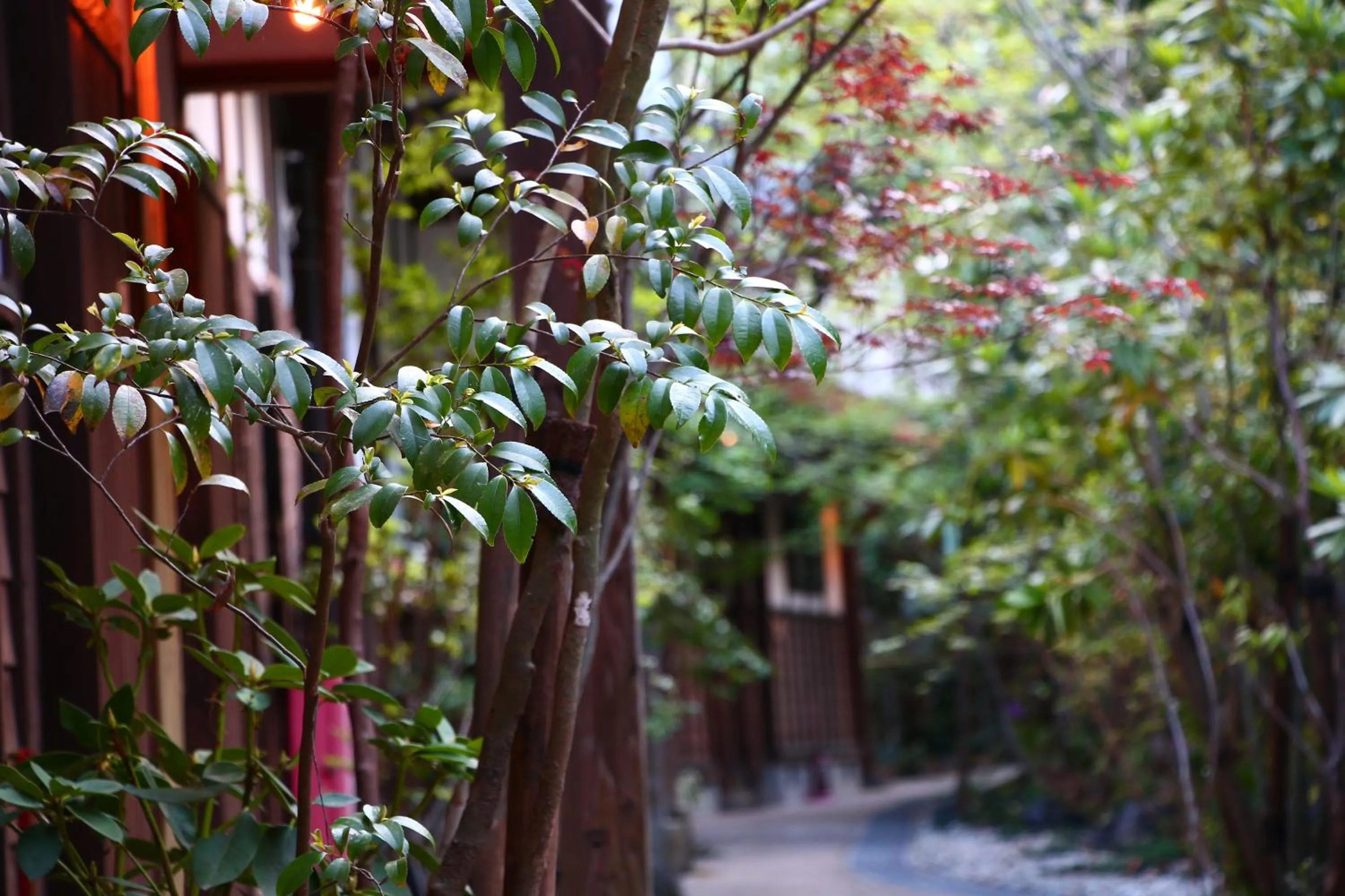 View (from property/room) in YamakawaZENZO