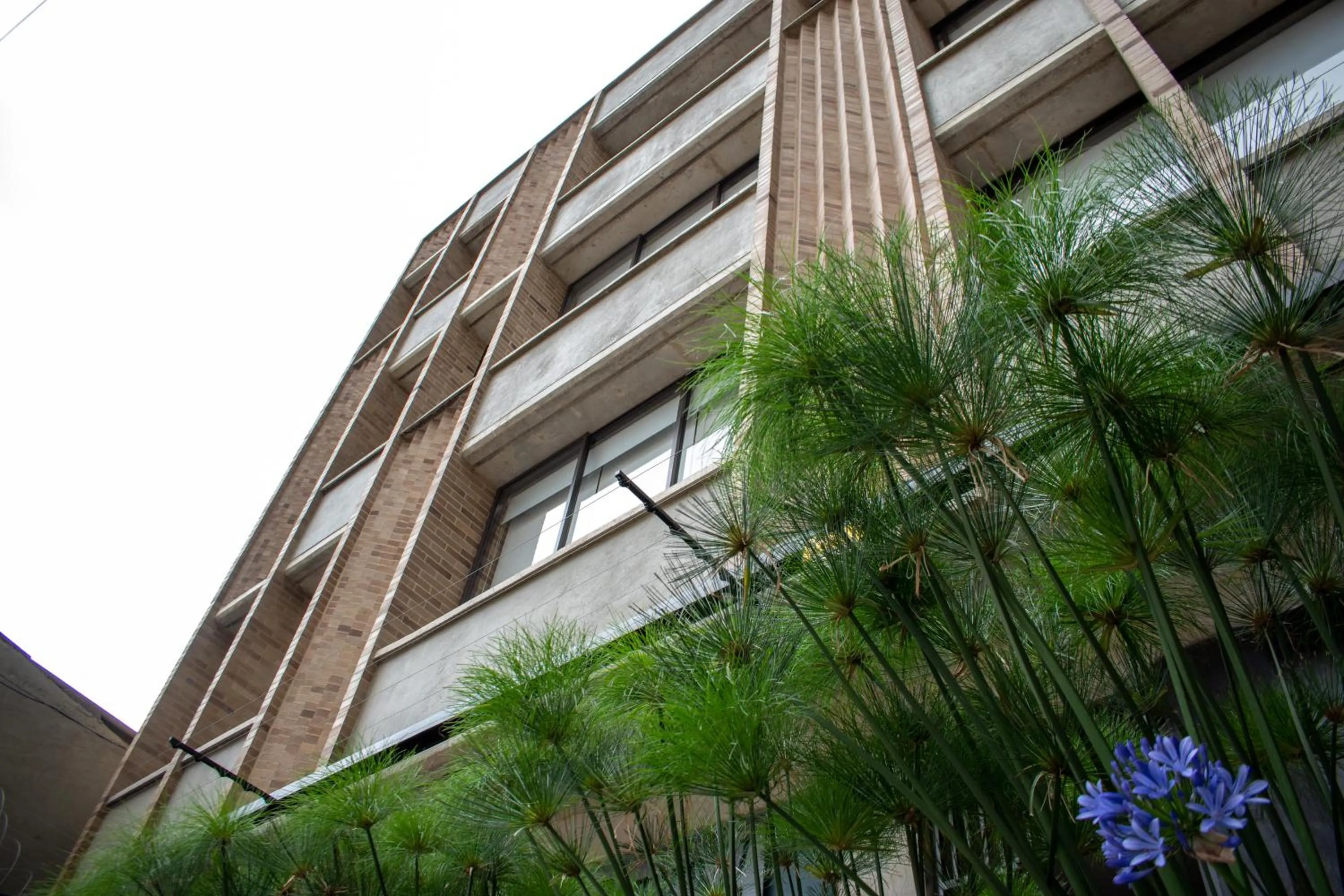 Facade/entrance in Cadena Hotelera Rey es