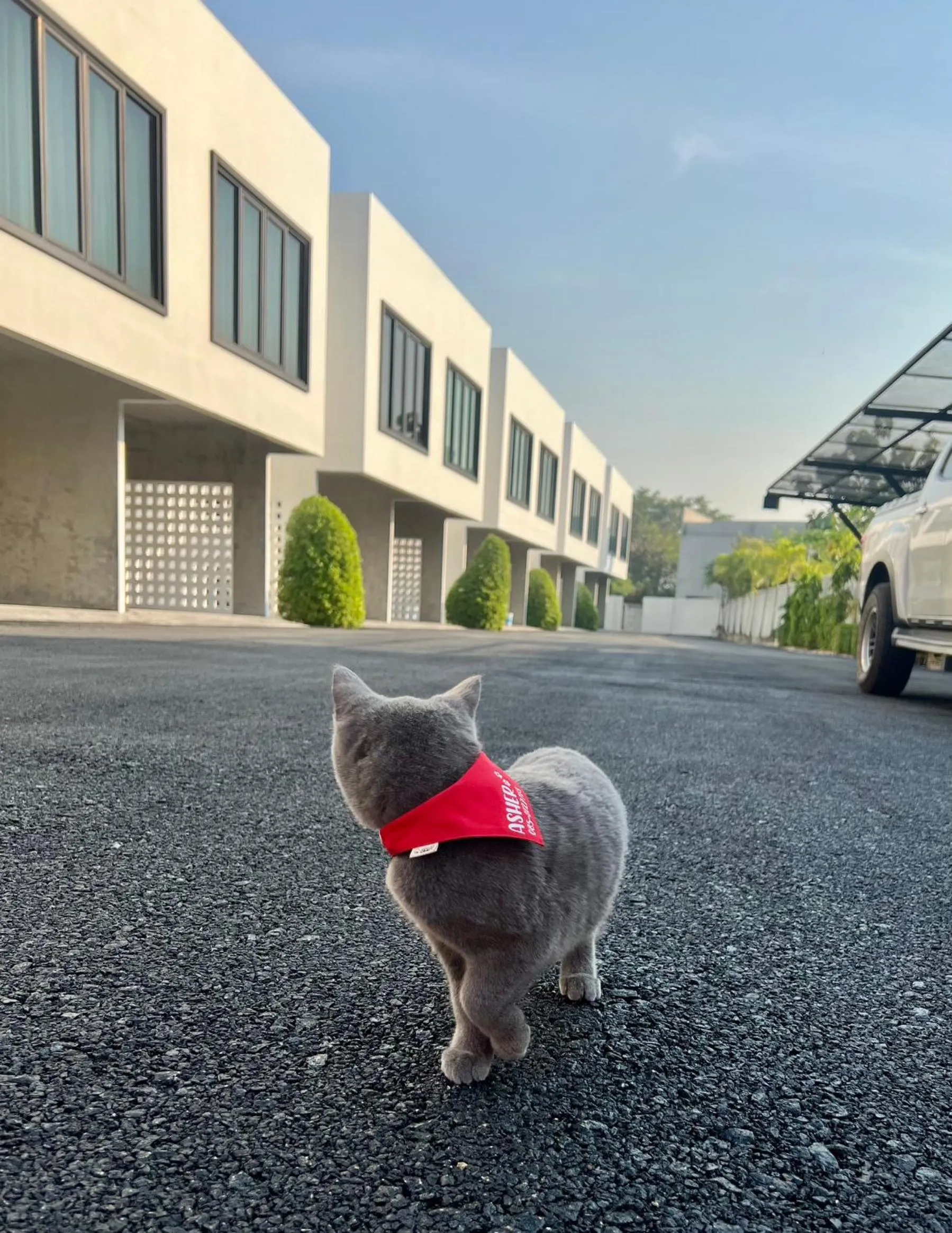 Property building in Cicada Hotel Kanchanaburi