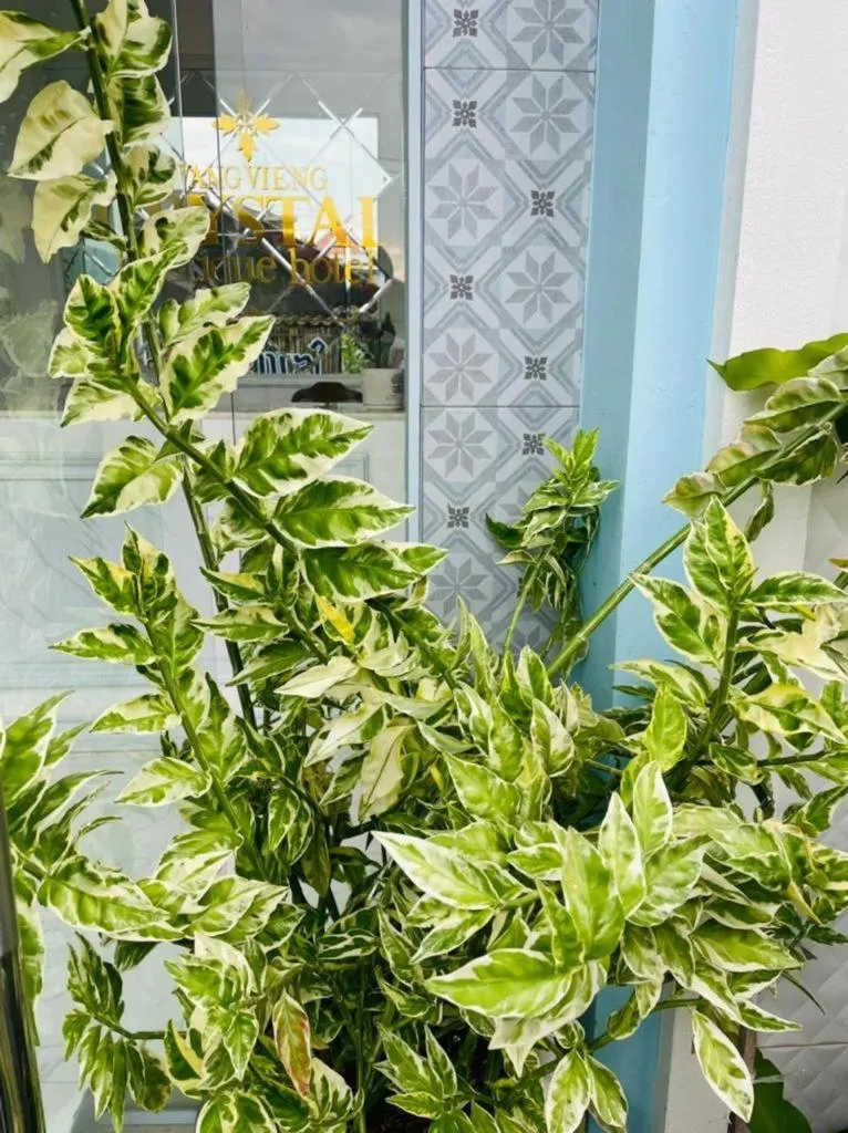 VangVieng Crystal Boutique Hotel