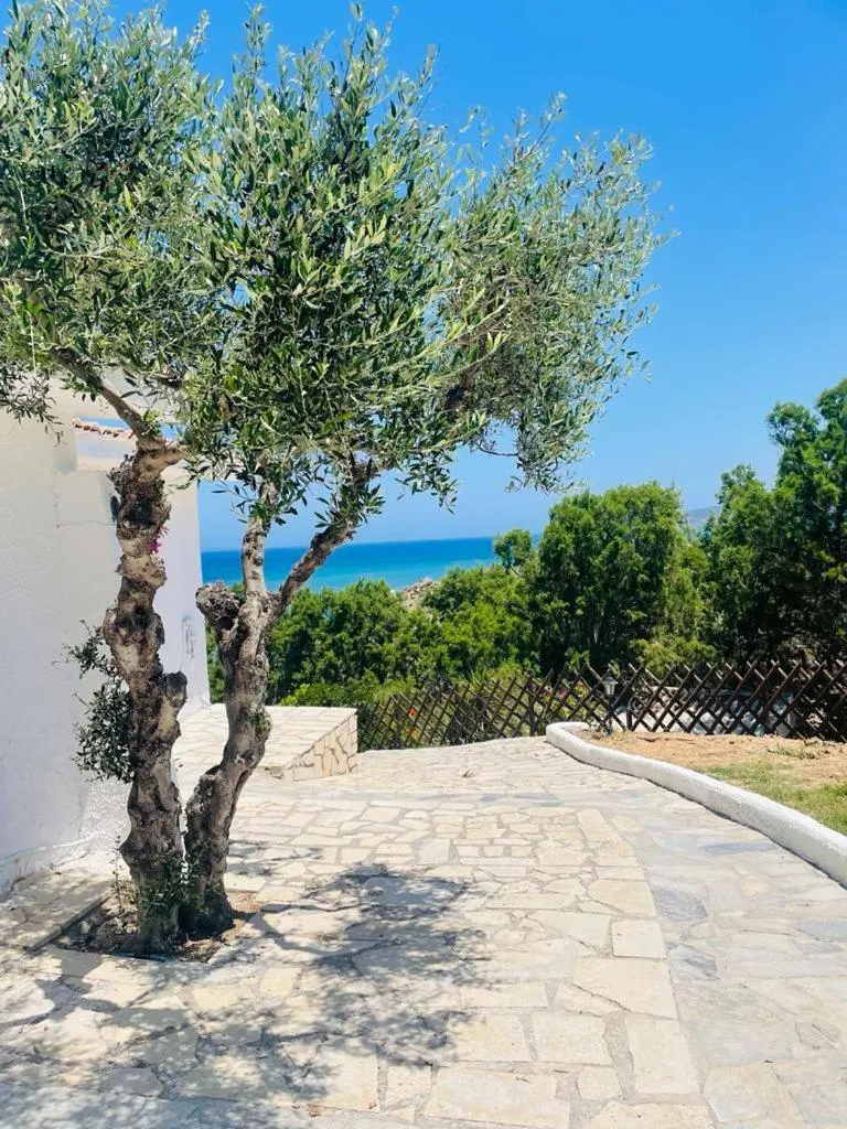 View (from property/room) in Lassion Hotel