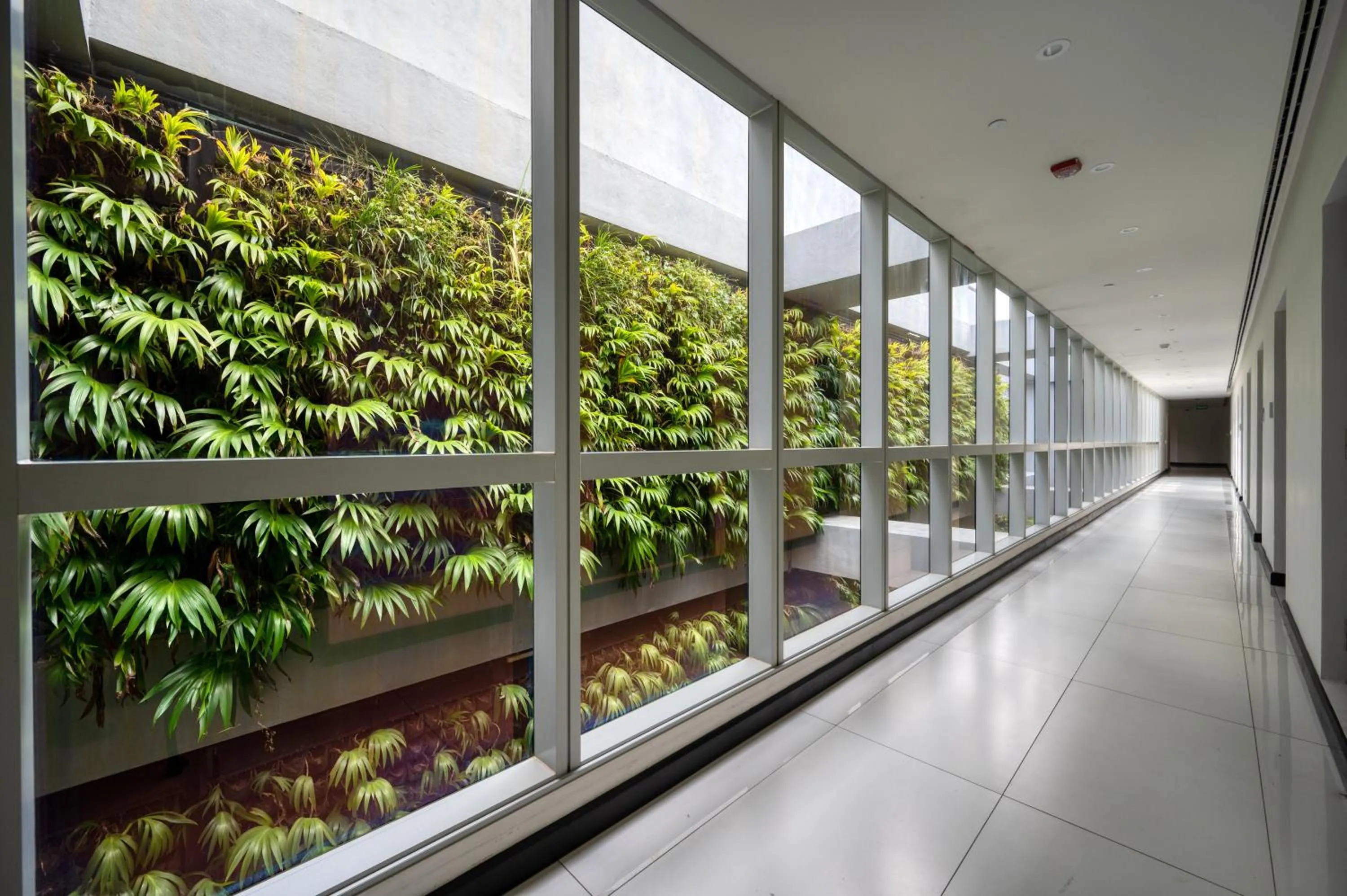 Garden in Hatch House for Digital Nomads