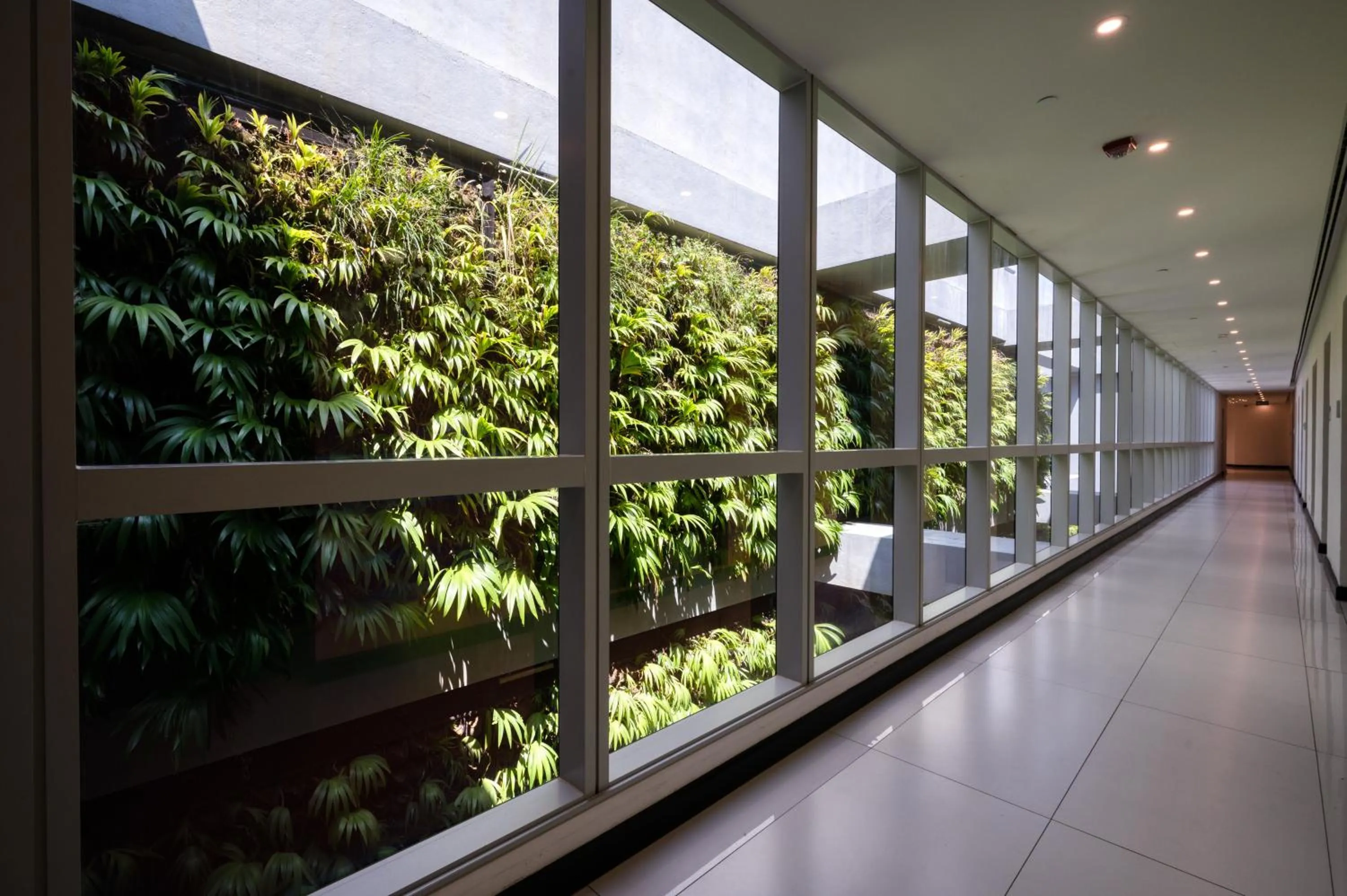 Garden in Hatch House for Digital Nomads