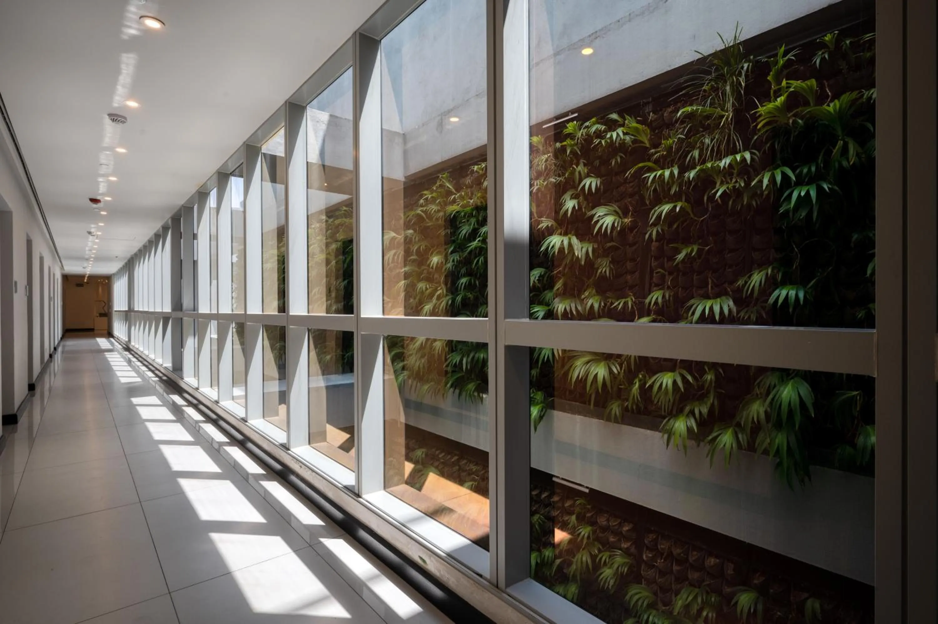 Garden in Hatch House for Digital Nomads