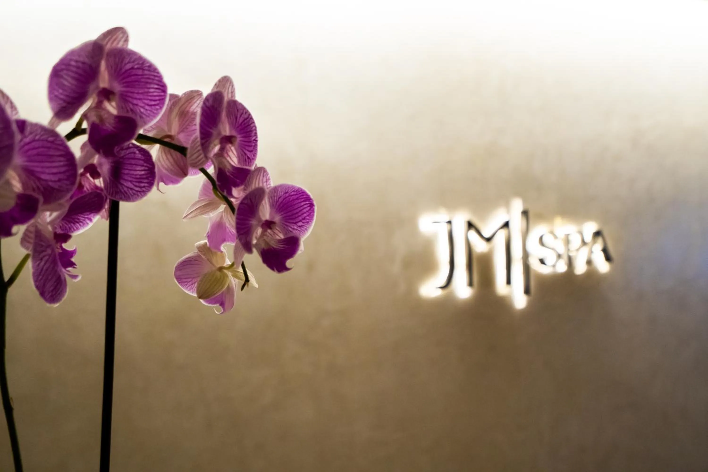 Fitness centre/facilities in JM Suites Hotel Eco-Friendly Casablanca