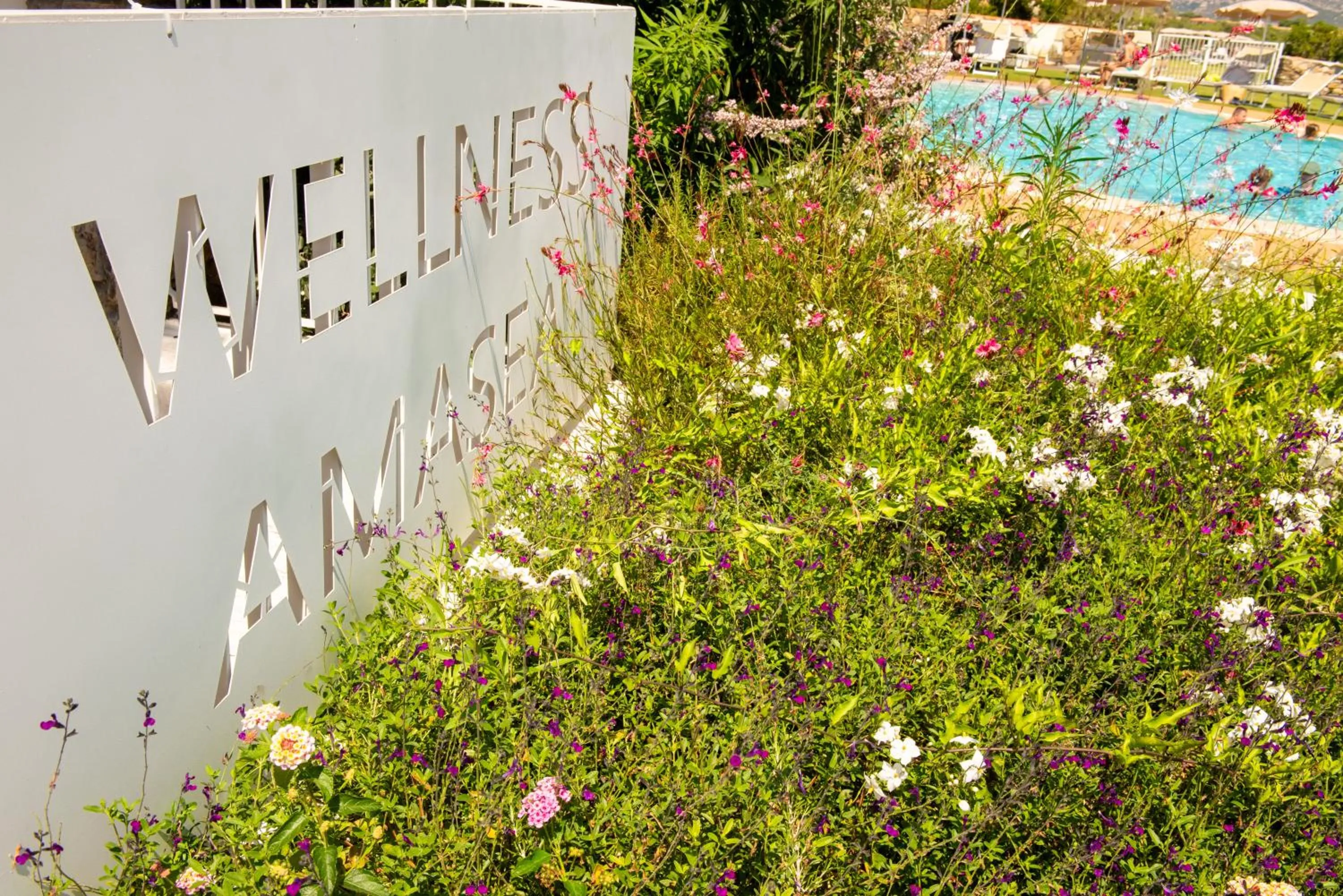 Garden in AMASEA Resort