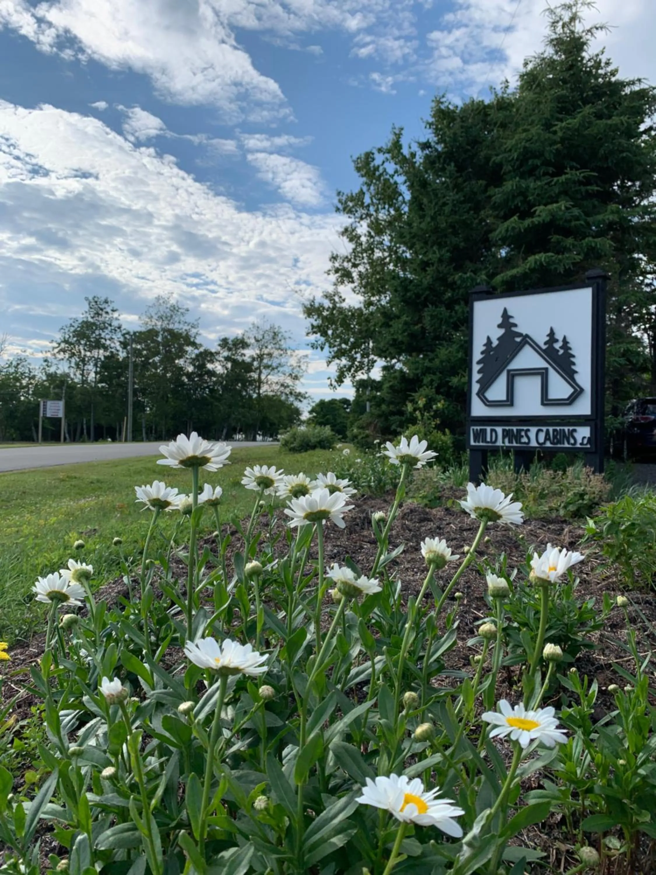 Property logo or sign in Wild Pines Cabins