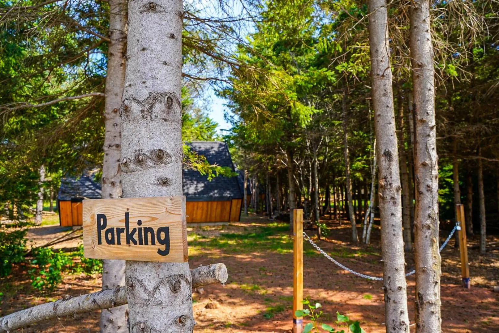 Parking in Wild Pines Cabins