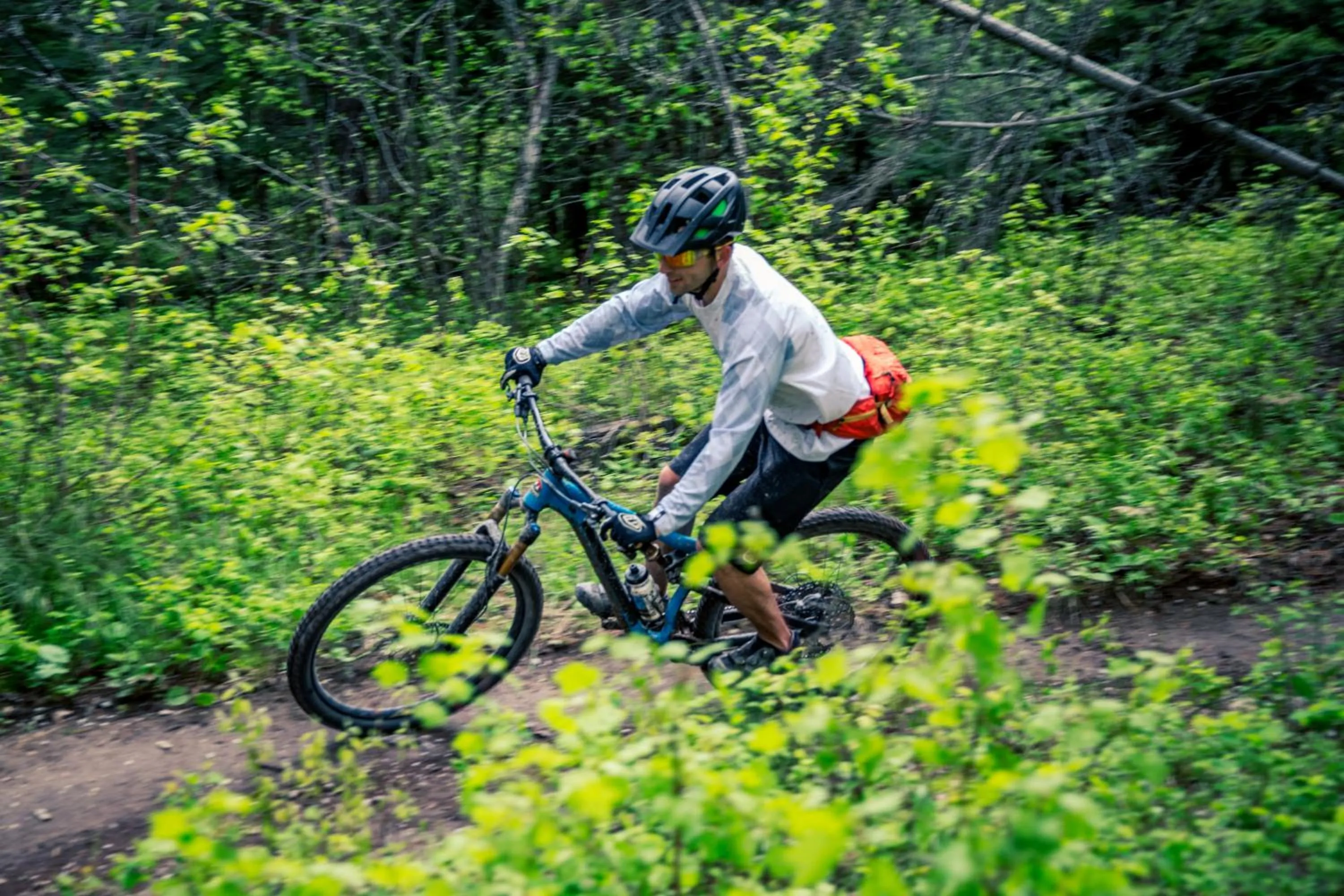 Cityside Big Mountain Lodge