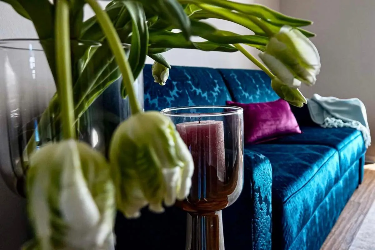 Residence Black Eagle Lubmin Strand