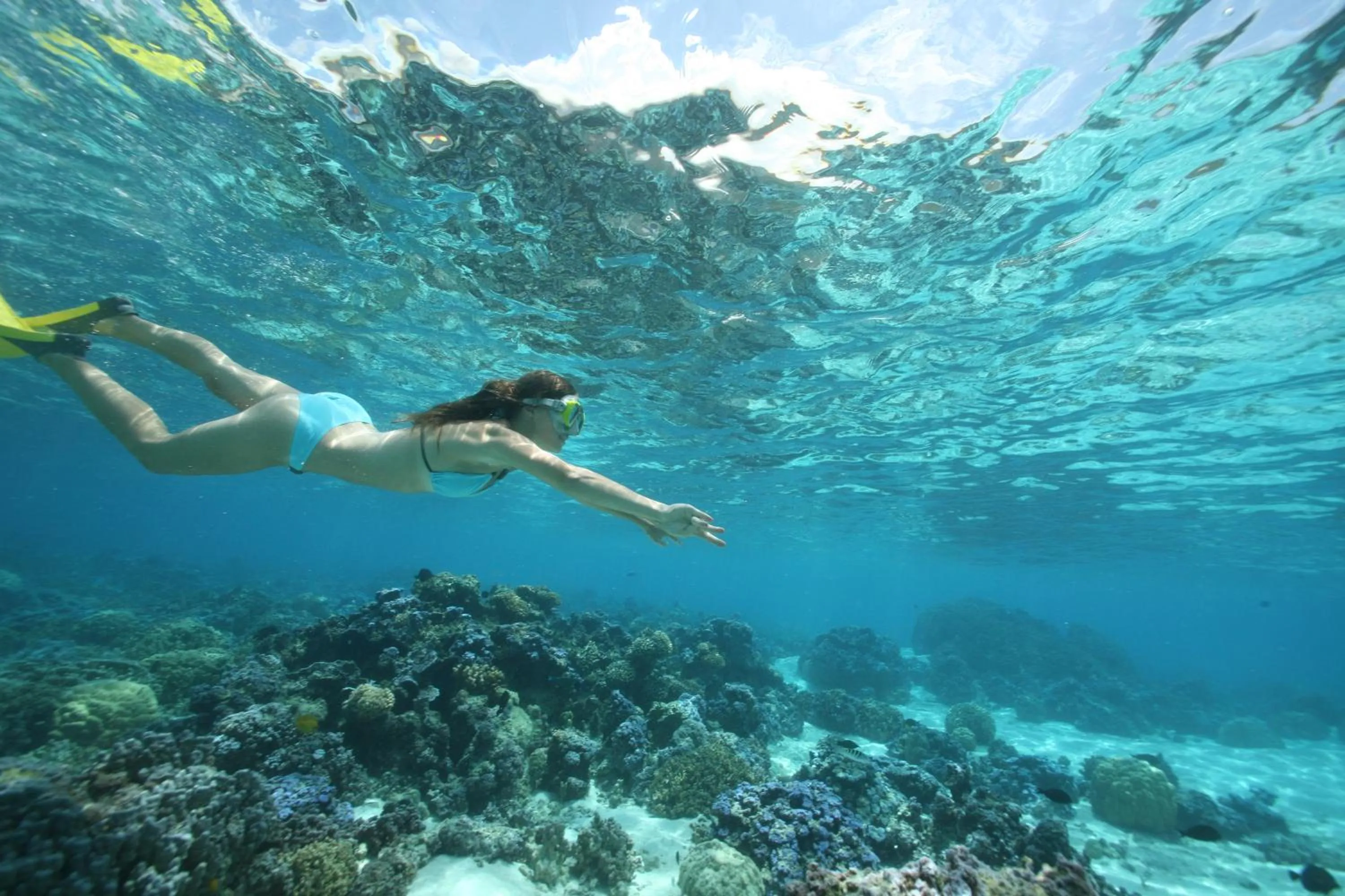 Snorkeling in Sofitel Kia Ora Moorea Beach Resort
