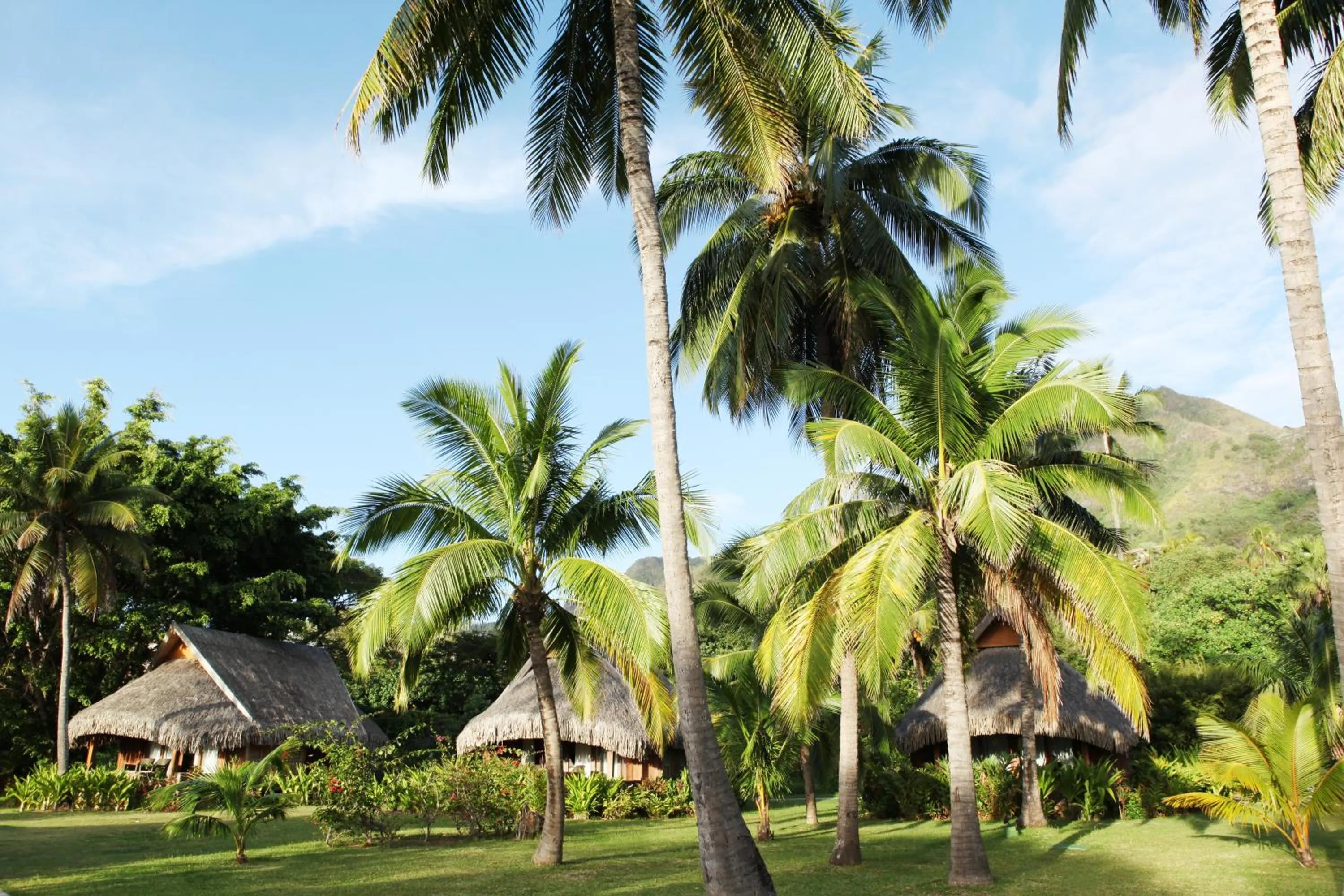Garden in Sofitel Kia Ora Moorea Beach Resort