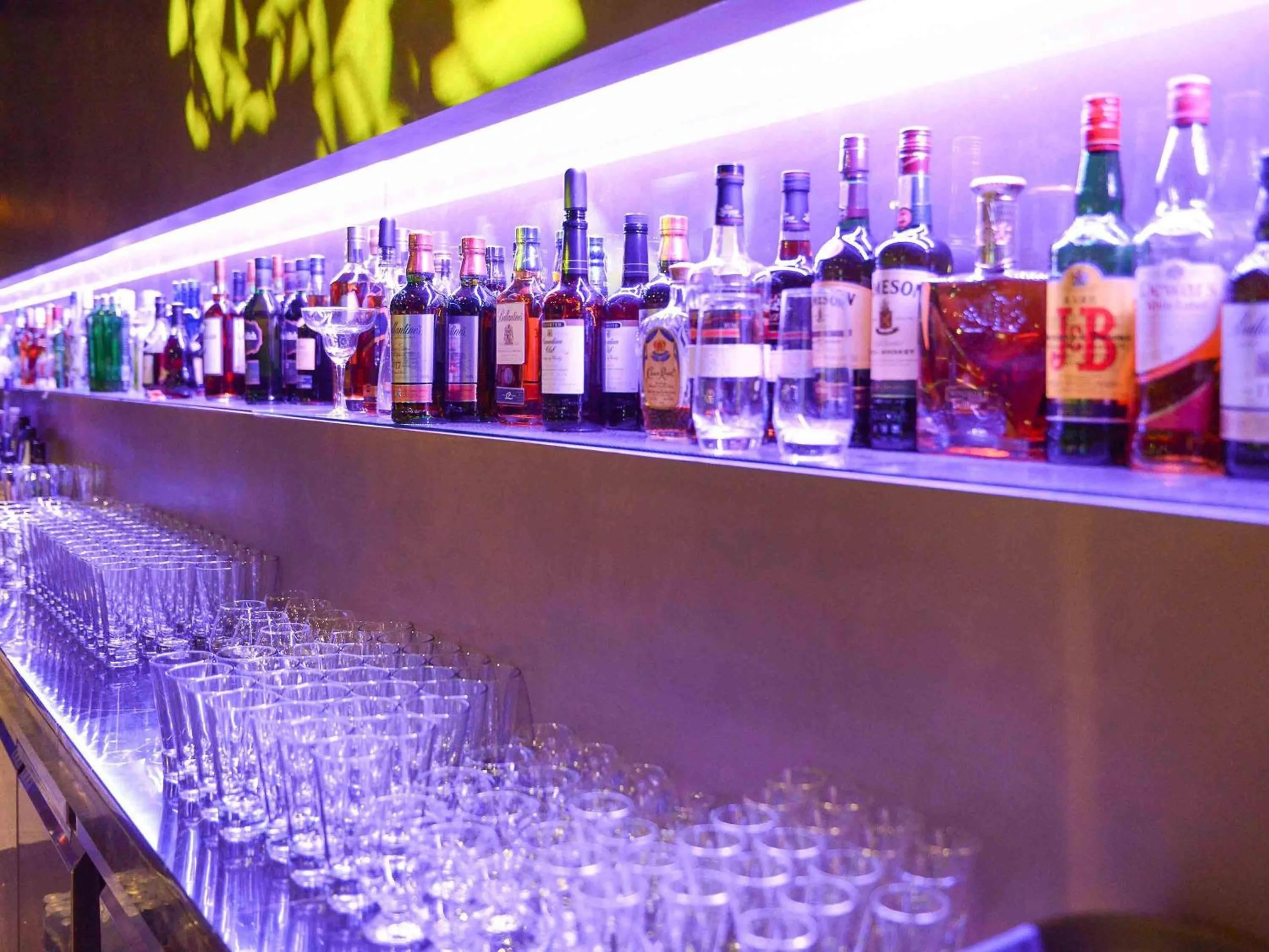 Lounge or bar in Novotel Ambassador Seoul Gangnam