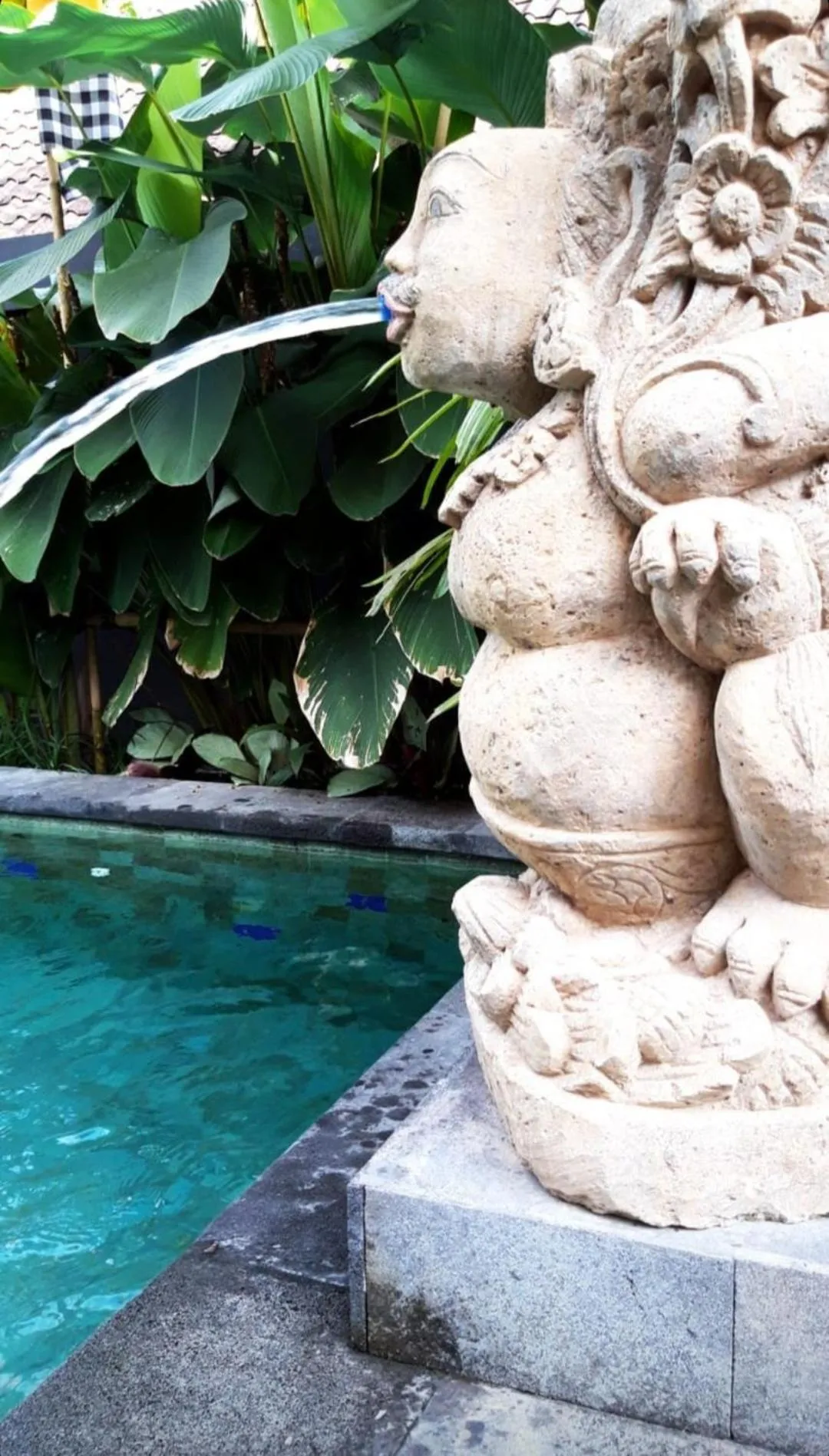 Swimming pool in BUDA AMITABA