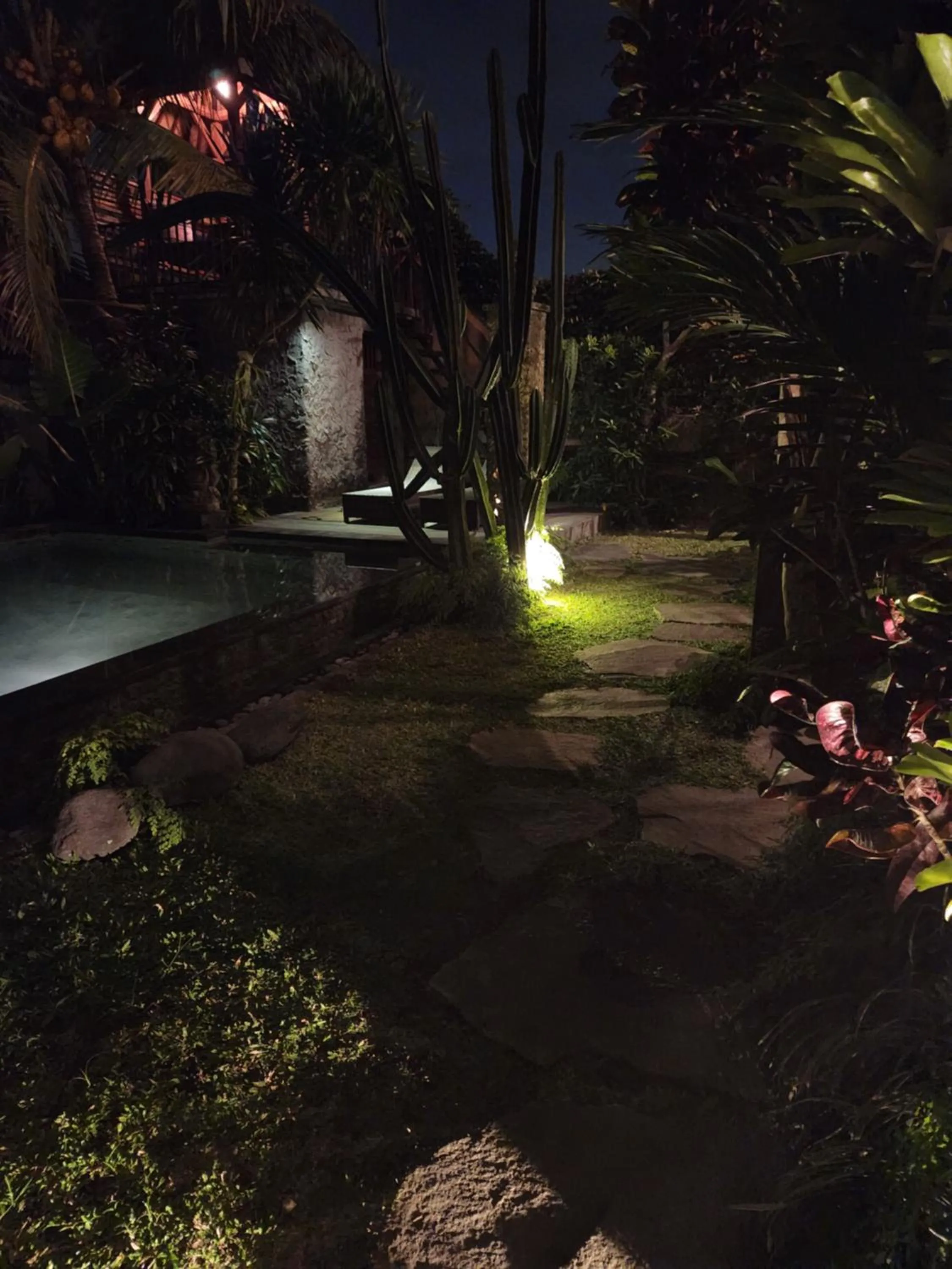 Garden view in BUDA AMITABA