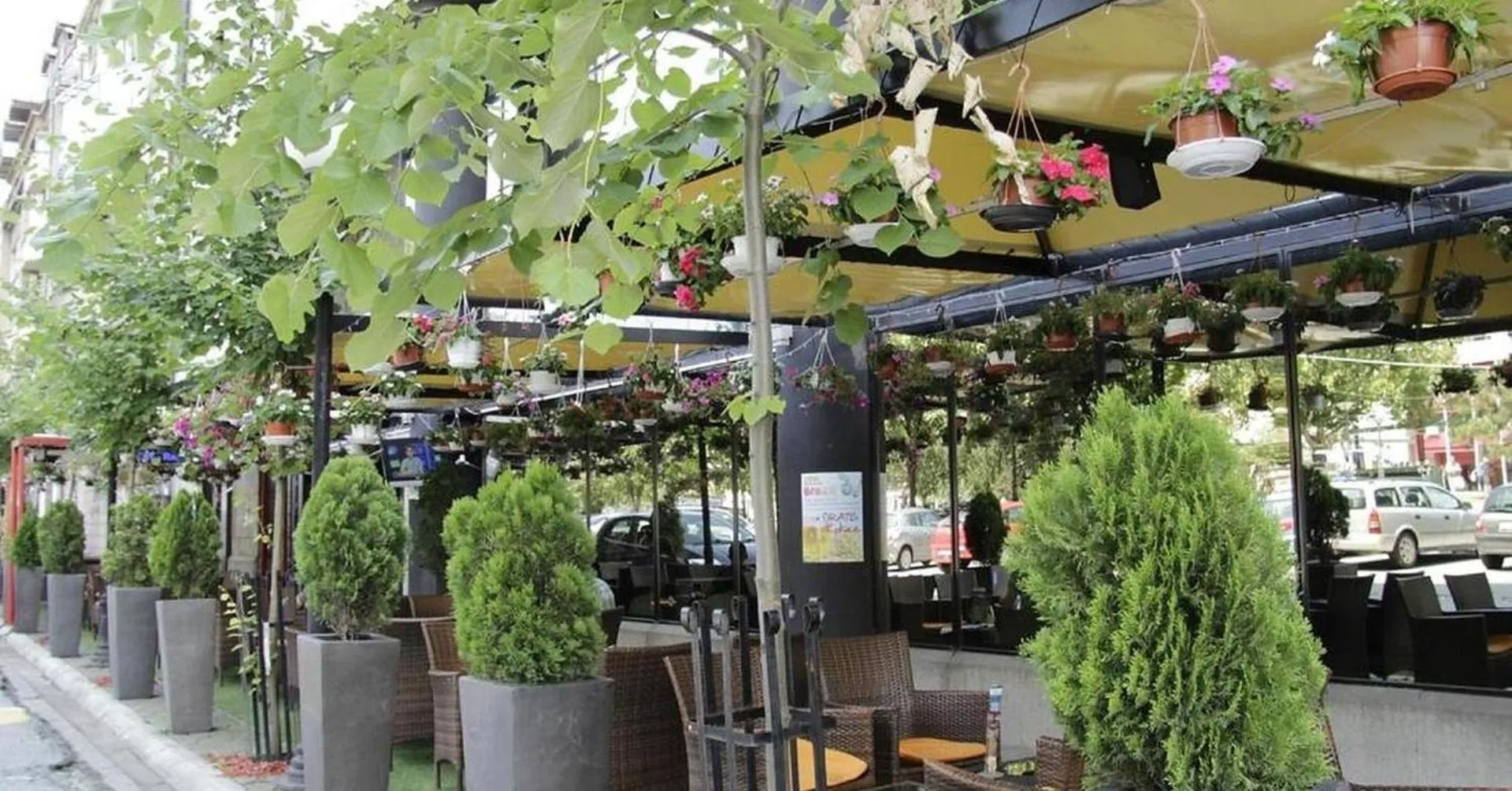 Garden in Design Hotel Mr President