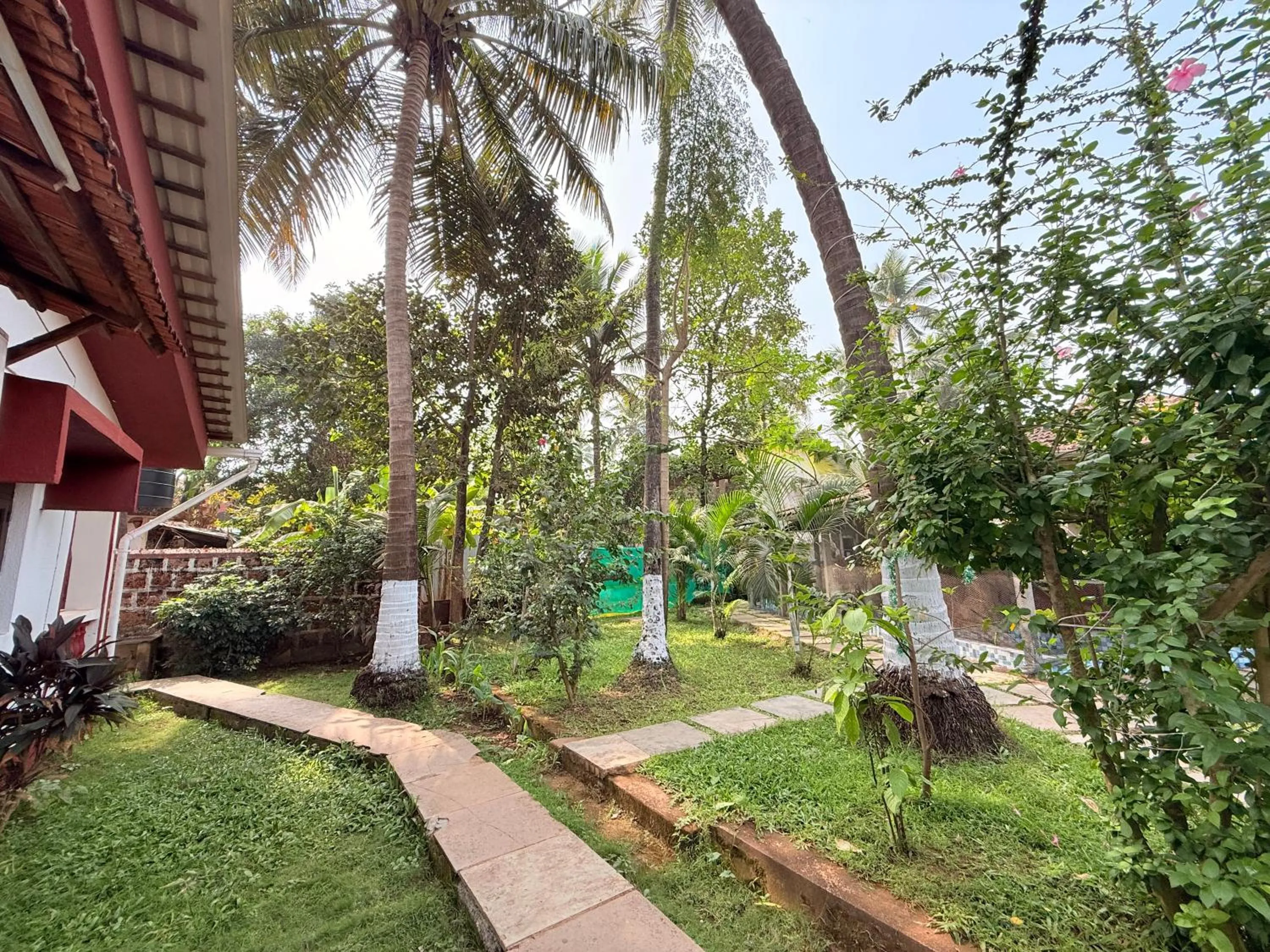 Garden in Red Sea Beach Resort