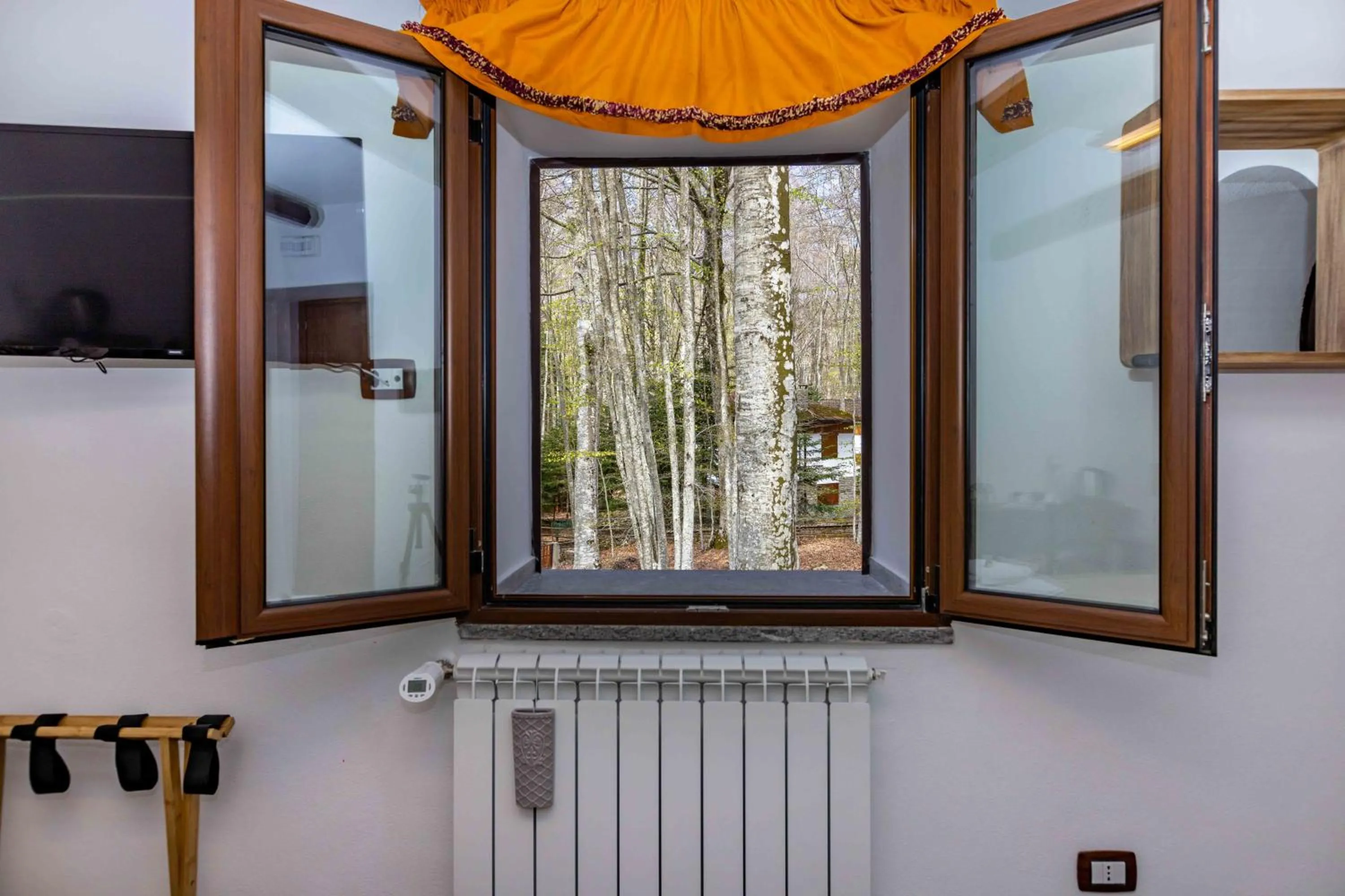 La Corteccia del Faggio