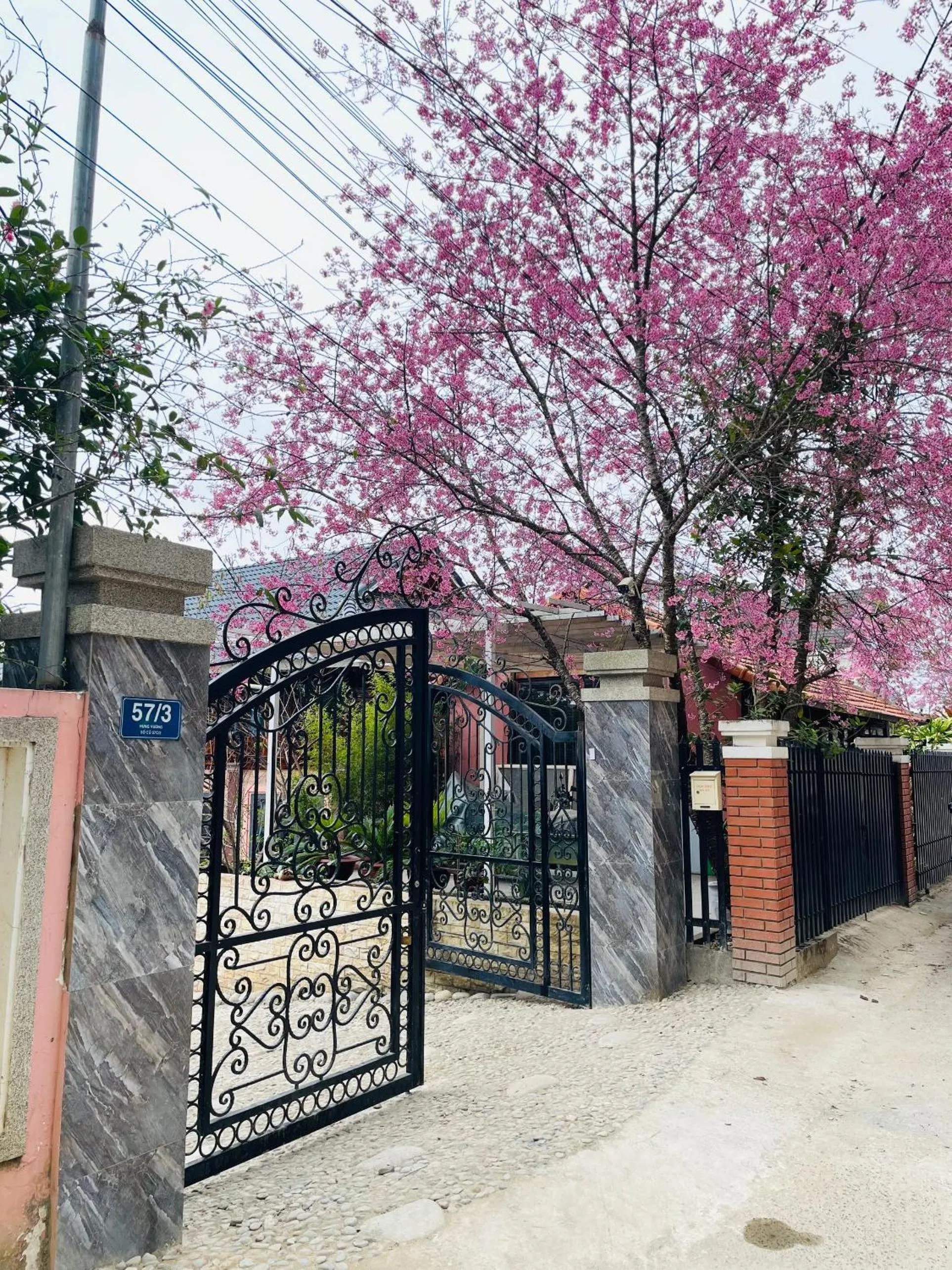 Day in Ngọc Đông Phương Villa Home