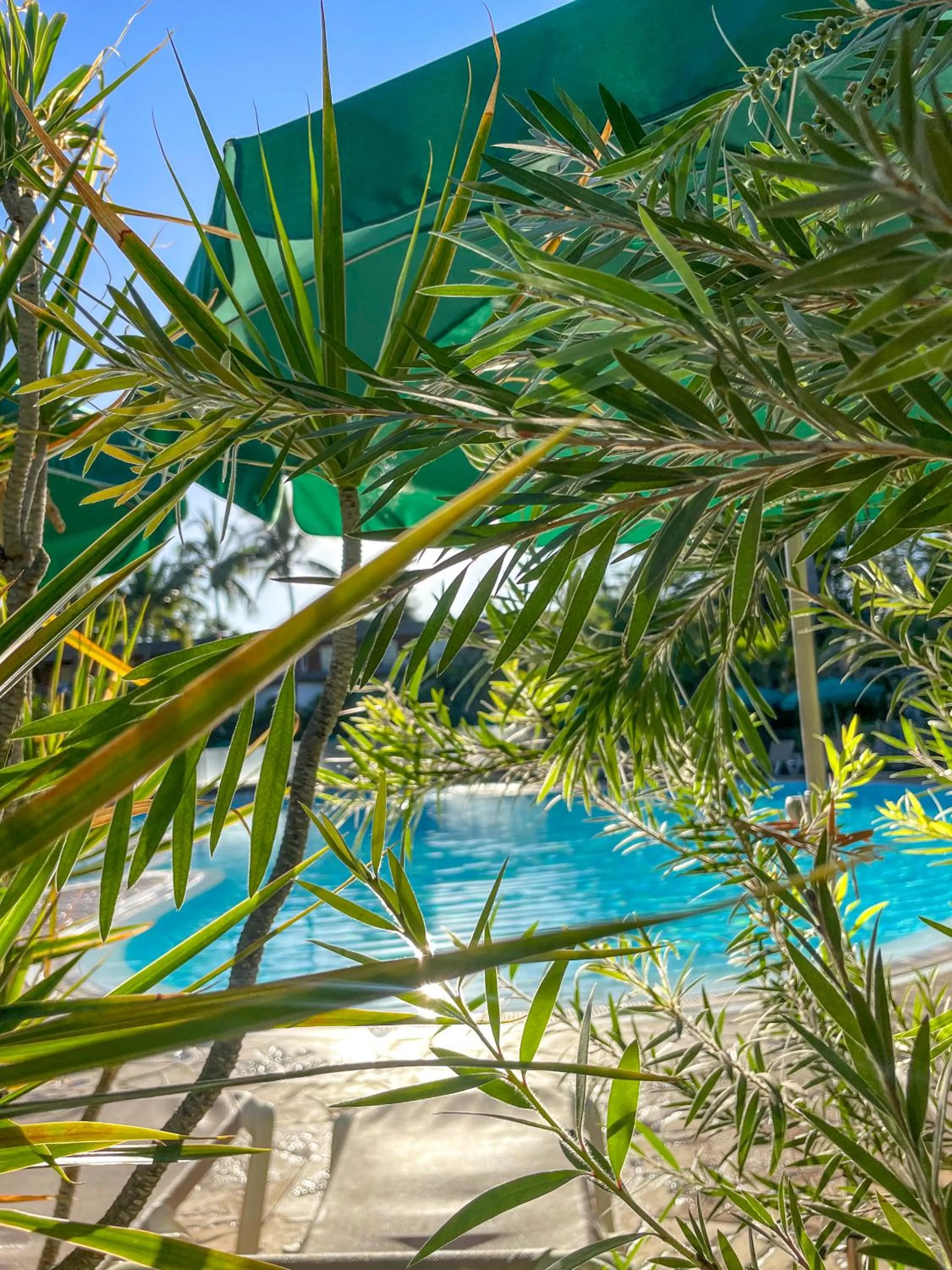 Swimming pool in Relais de l’Hermitage Saint-Gilles