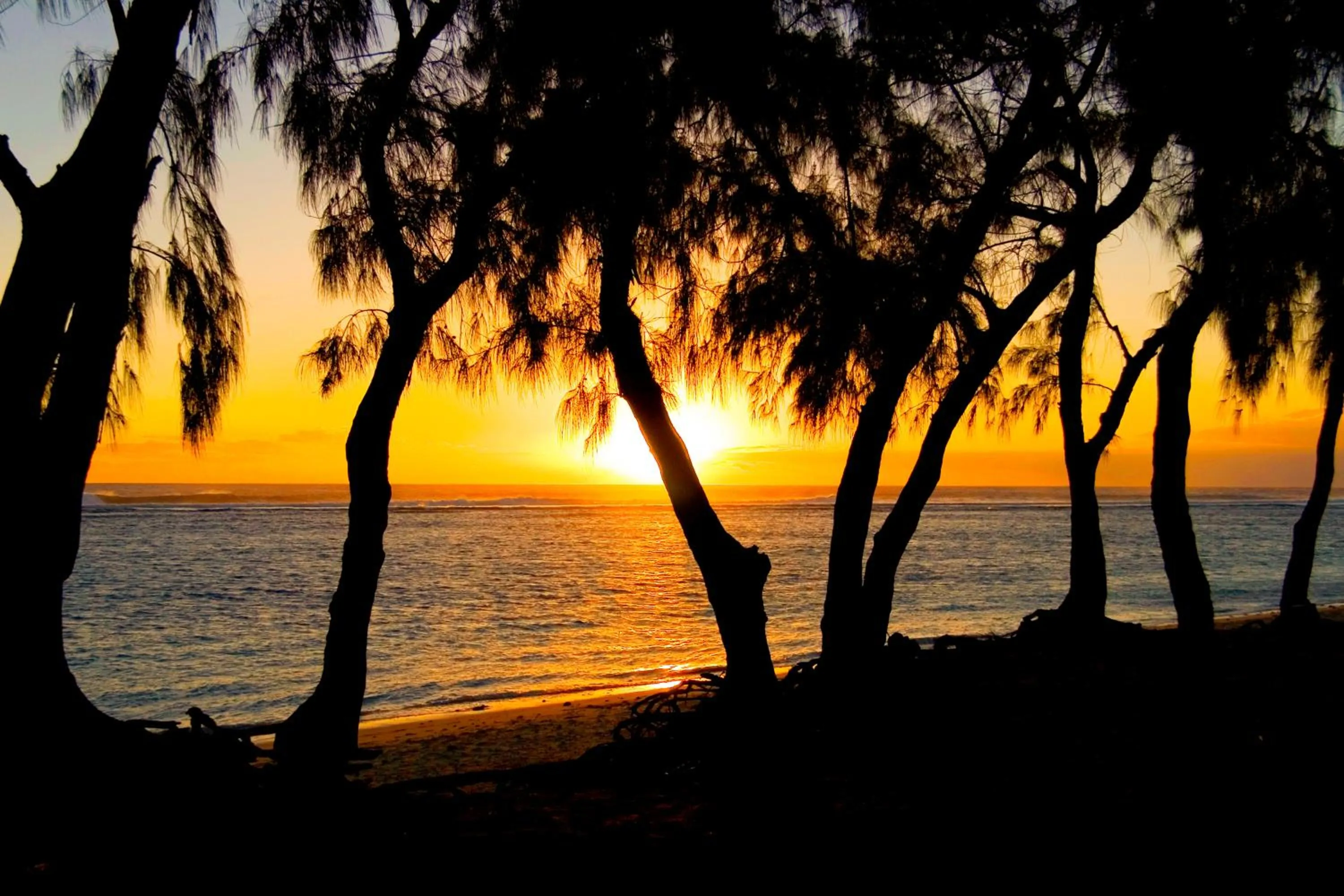 Beach in Relais de l’Hermitage Saint-Gilles