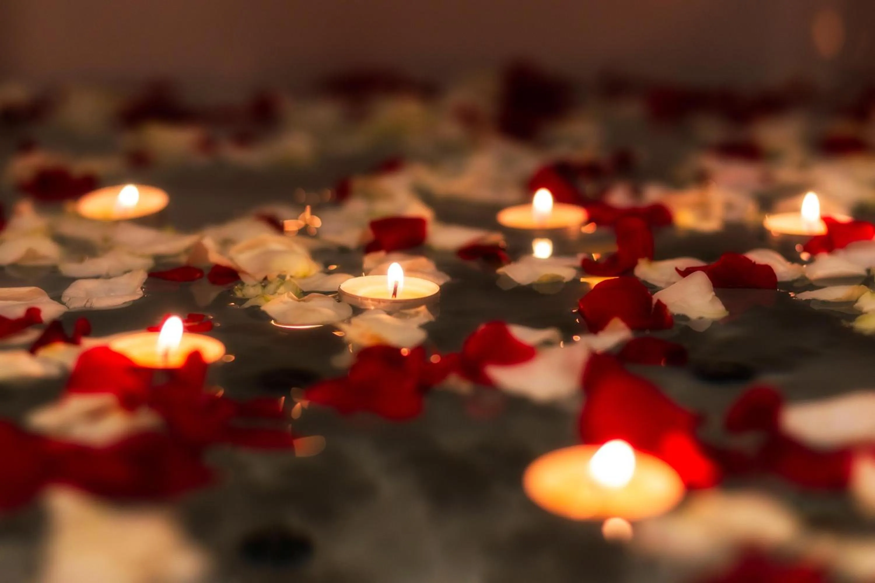 Sofitel Algiers Hamma Garden