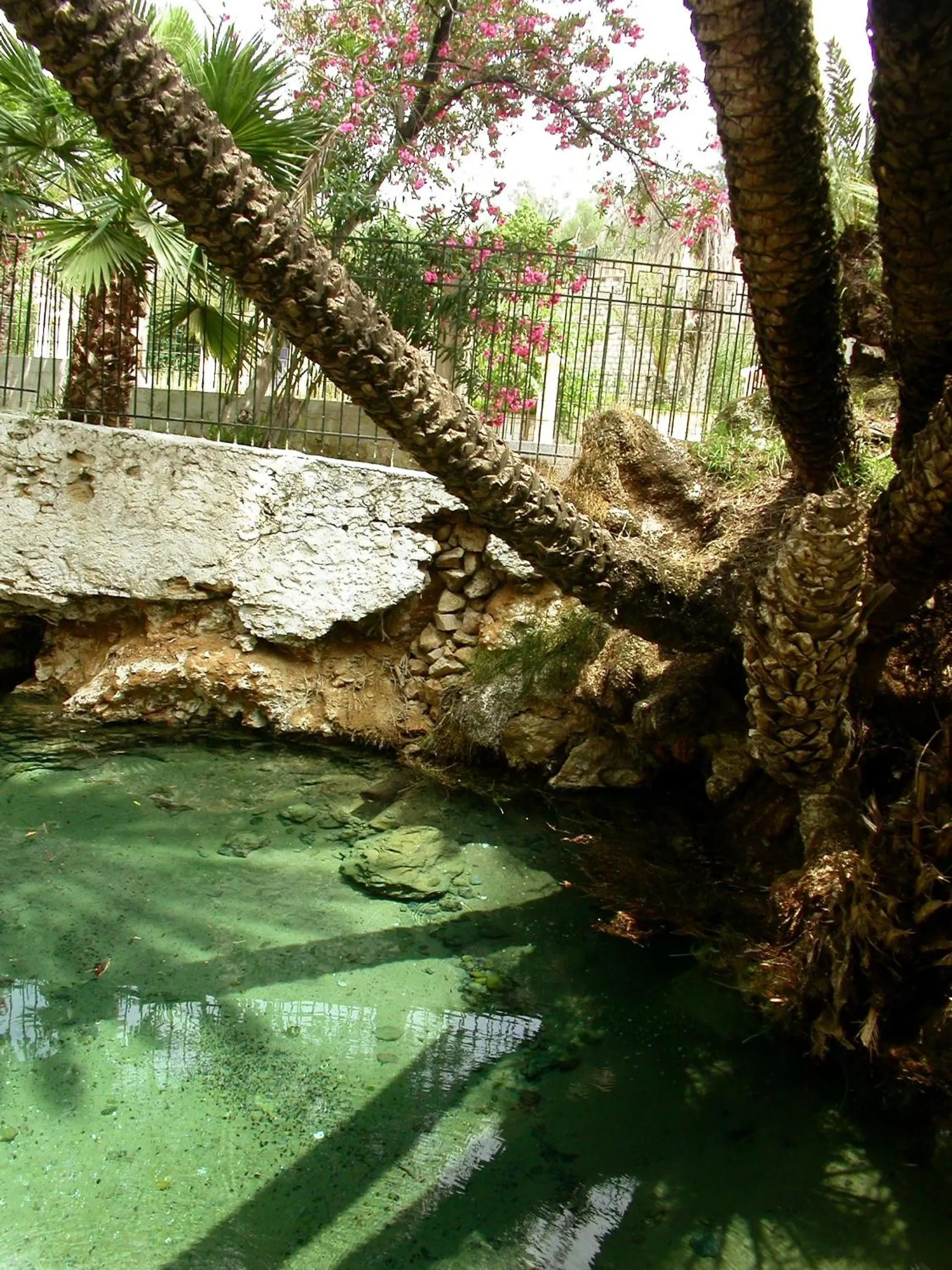 Natural landscape in Sidi Harazem