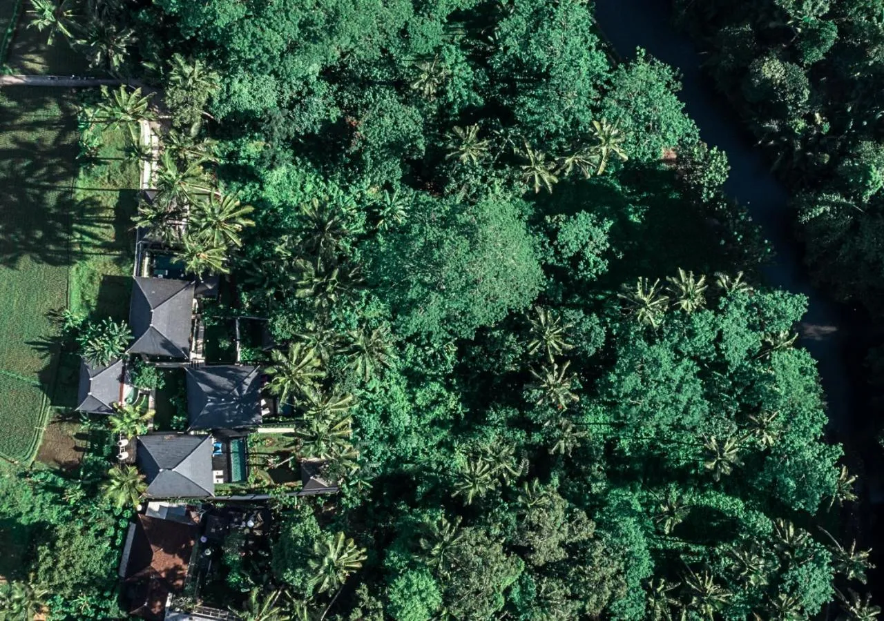 Bird's eye view in Capung Asri Eco Luxury Resort with Private Pool Villas