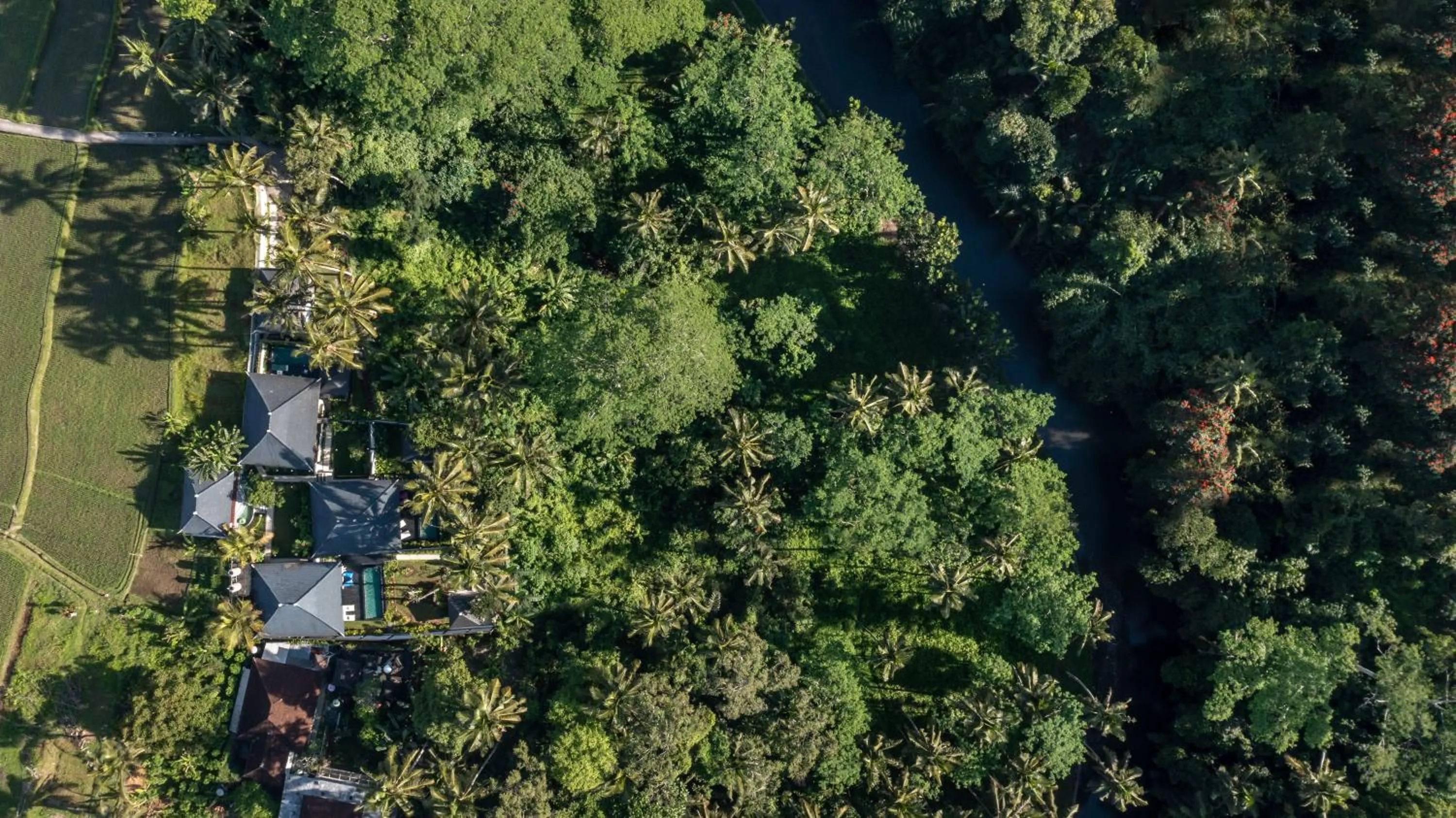 Property building in Capung Asri Eco Luxury Resort with Private Pool Villas