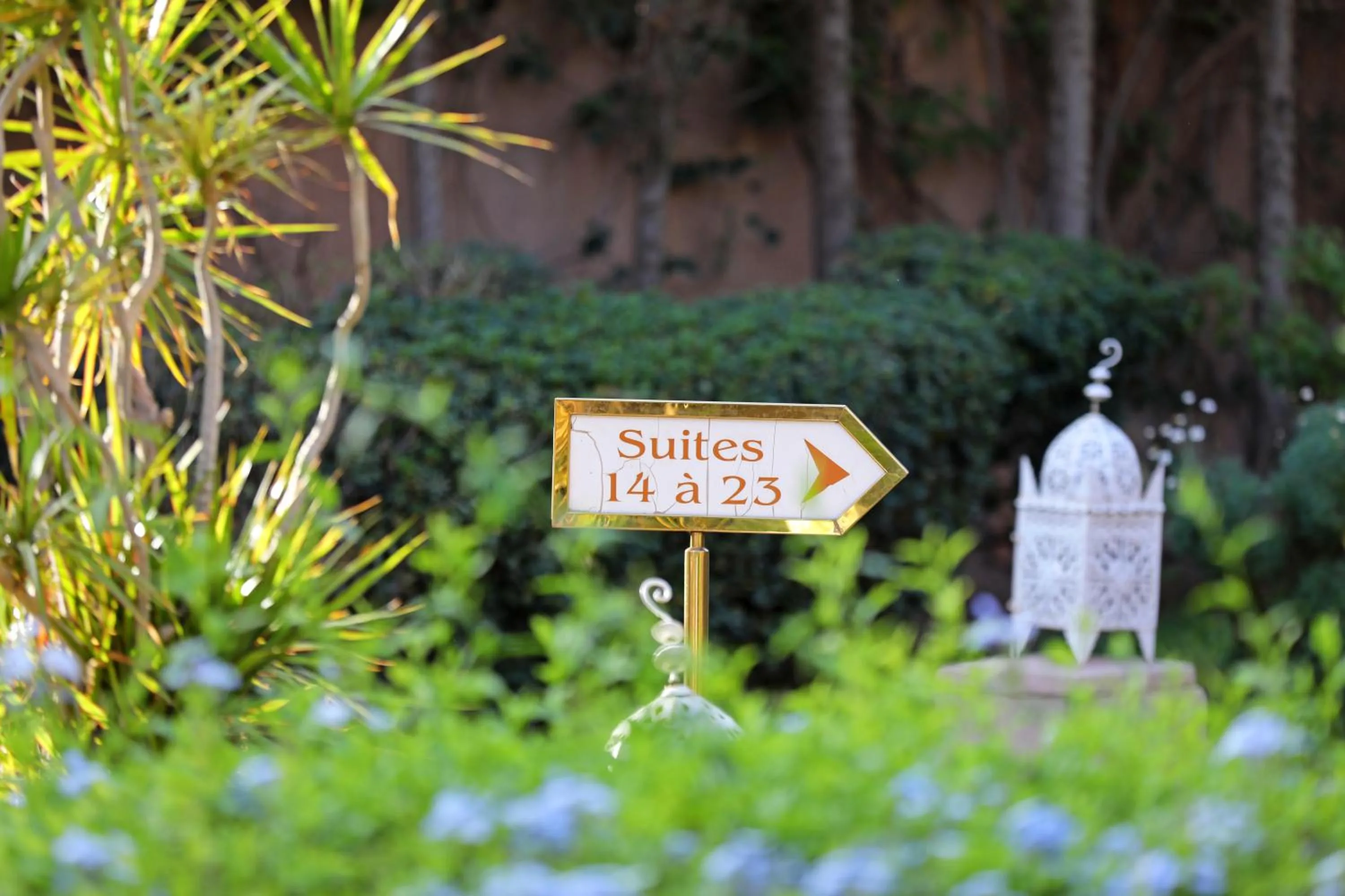 Spring in Pavillon du Golf - Palmeraie suites