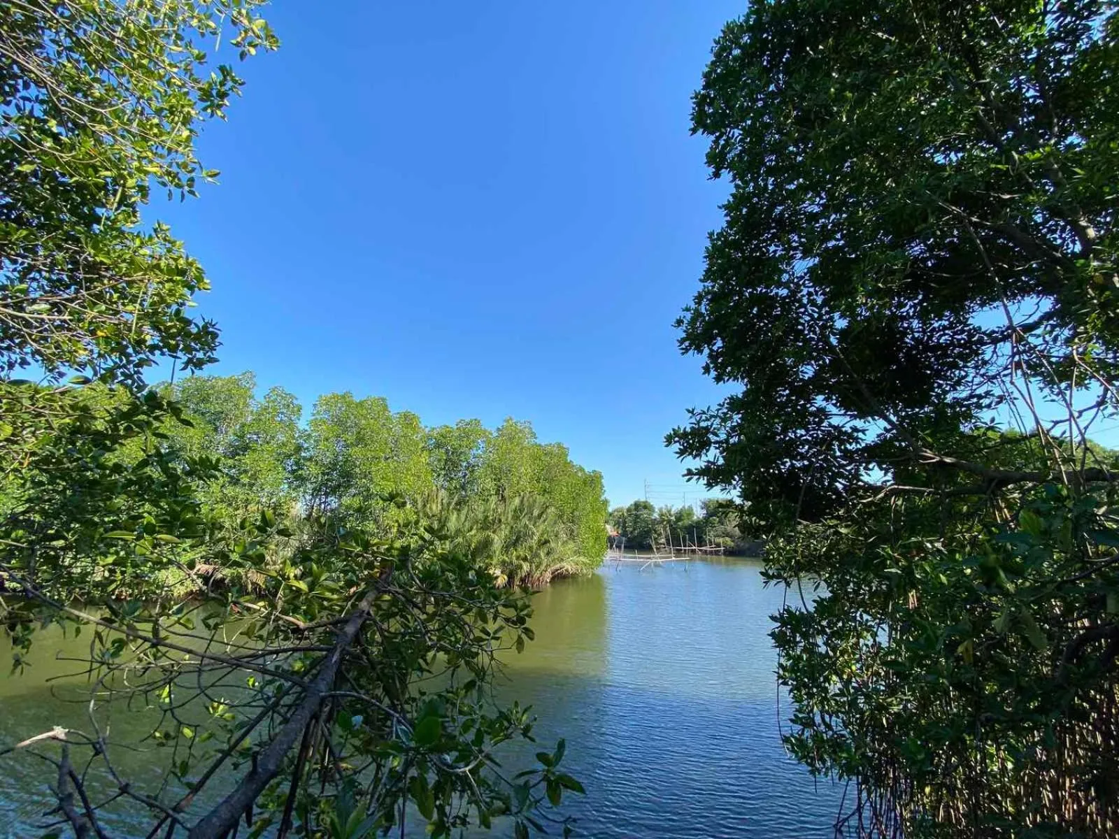 River view in Rio Vista Bed and Breakfast
