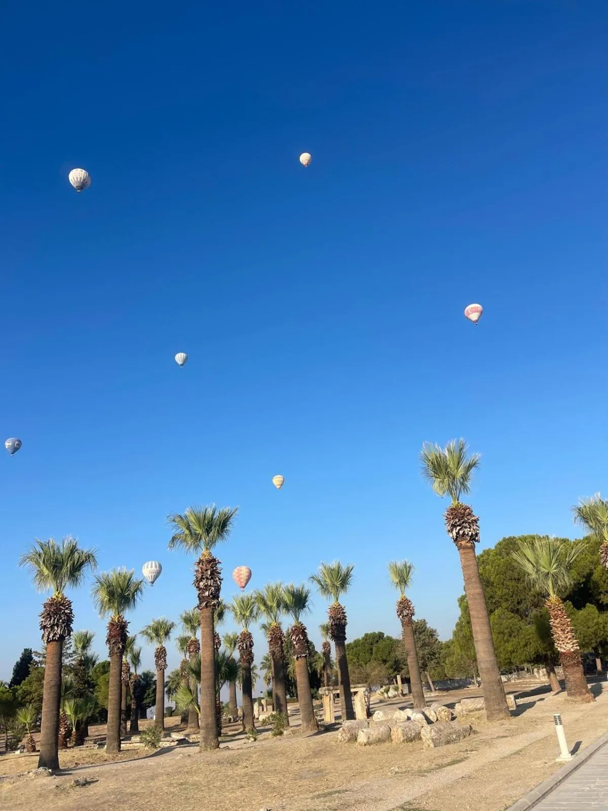 SiriuS Otel Pamukkale