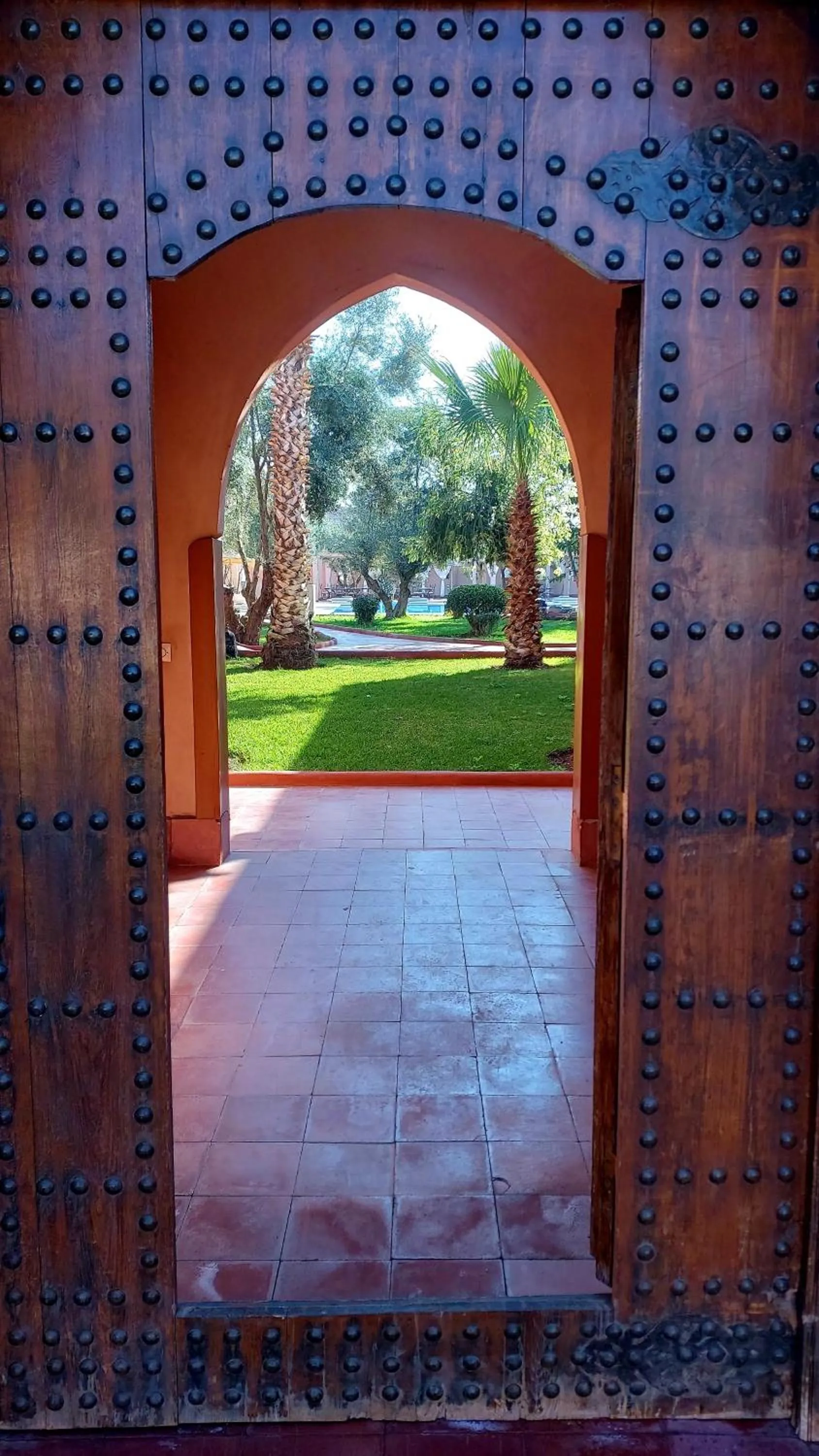 Garden view in La Maison Des Oliviers