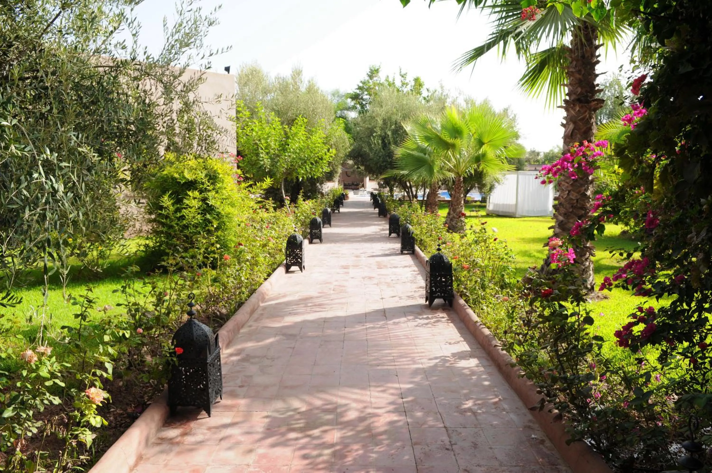 Garden in La Maison Des Oliviers