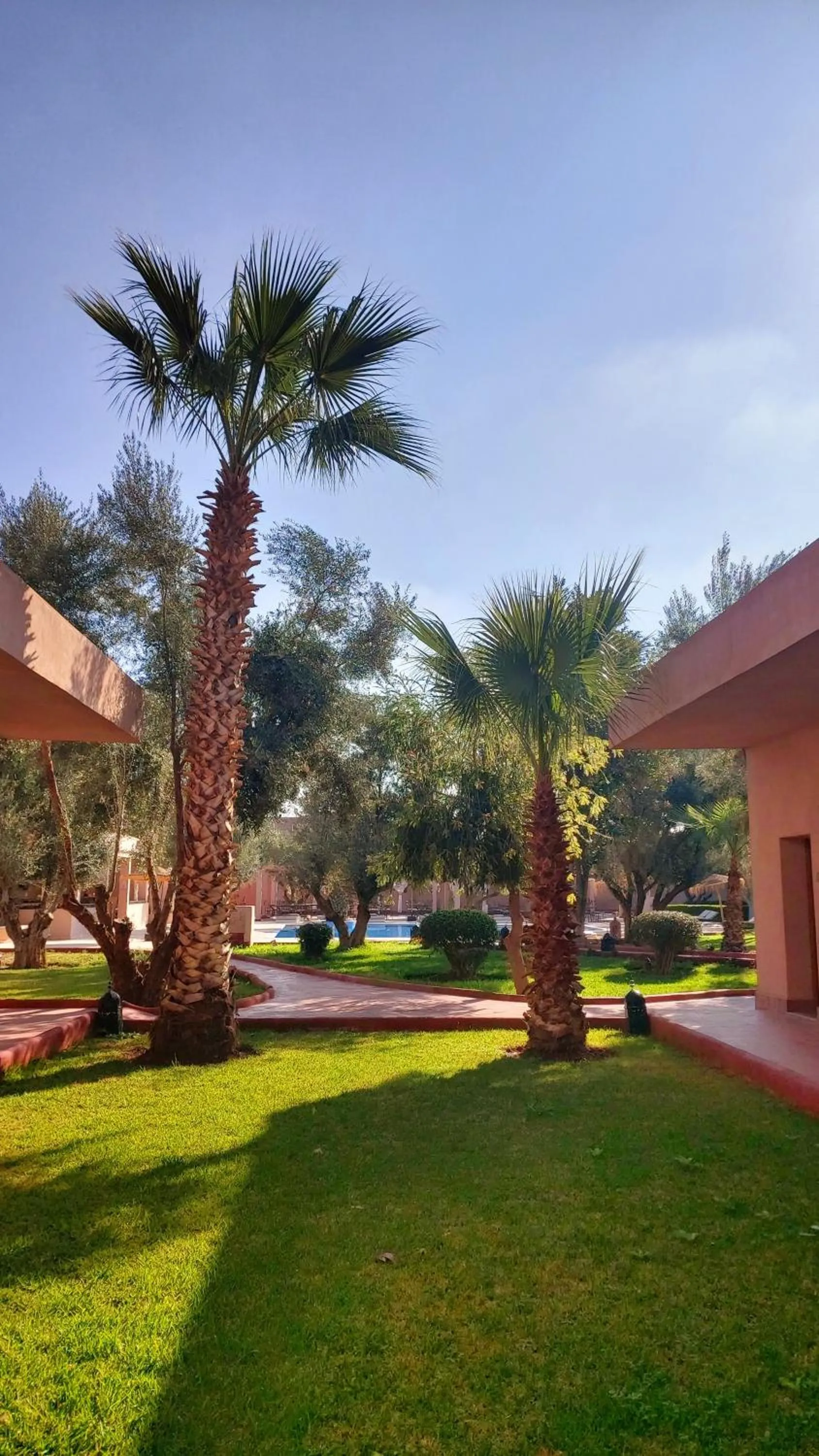 Garden in La Maison Des Oliviers