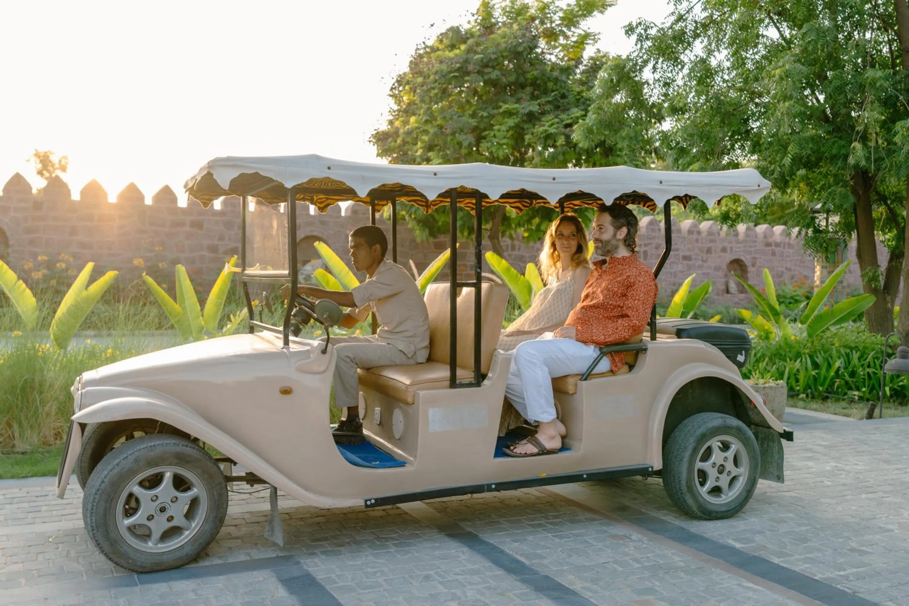 Spring in Surpura Bagh