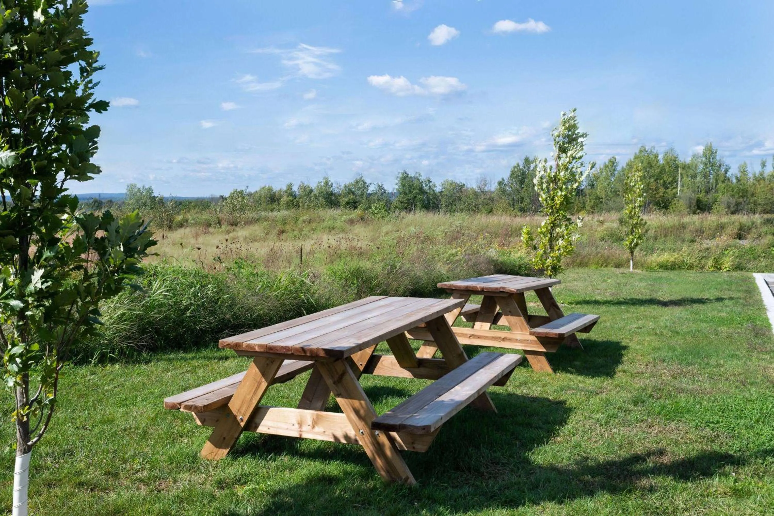 Other in Microtel Inn & Suites by Wyndham Lachute