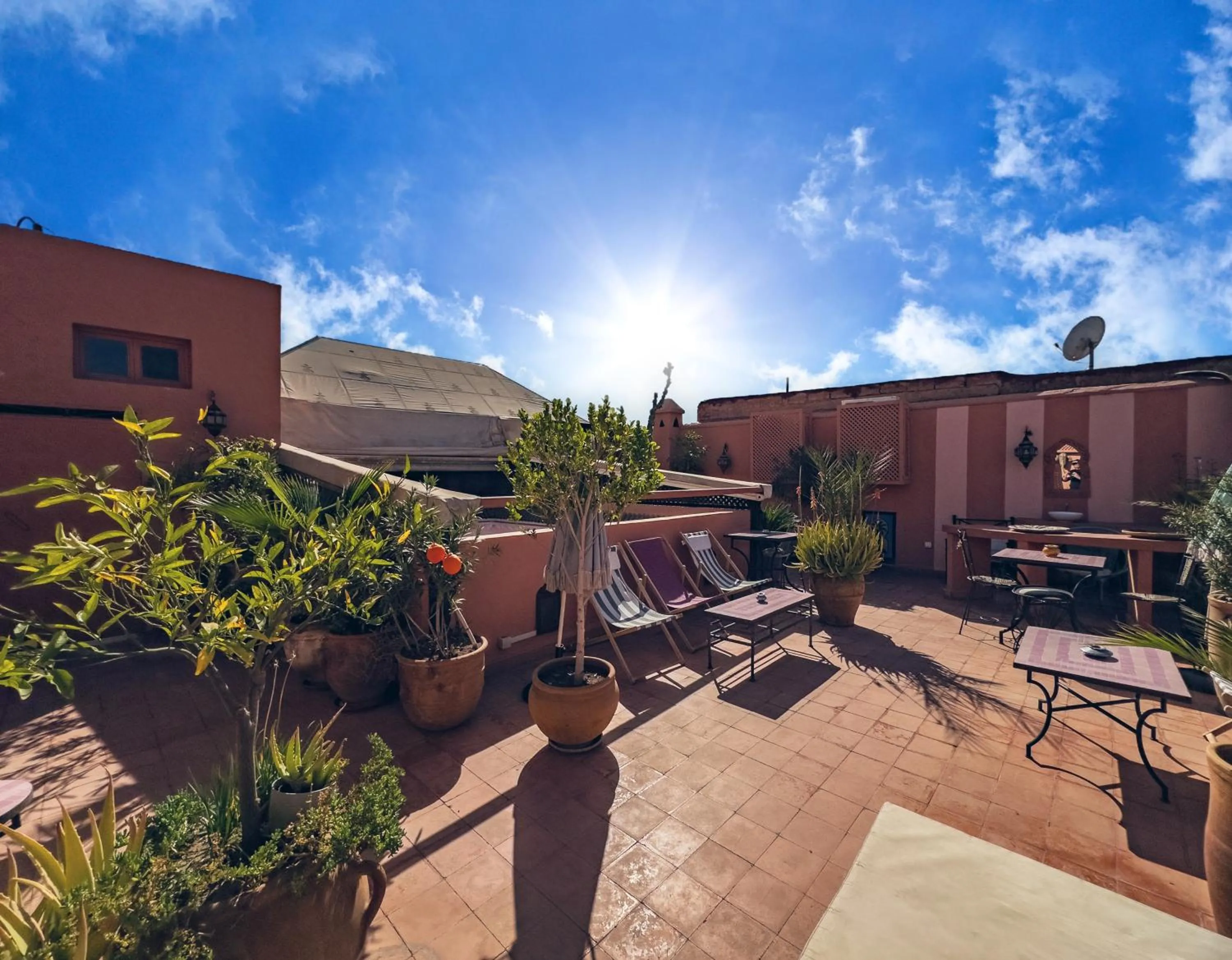 Balcony/Terrace in Riad Lauriers Blancs