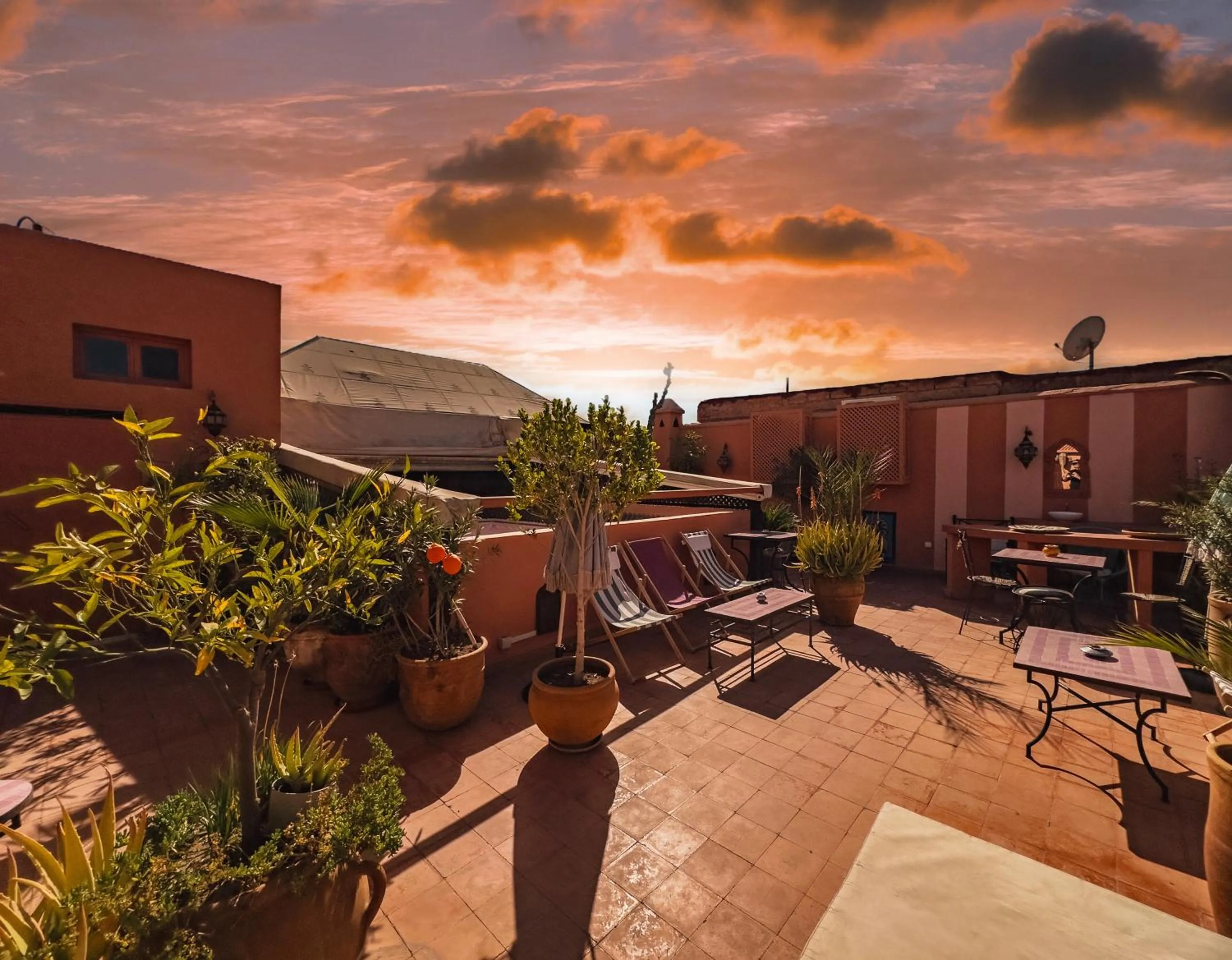 Balcony/Terrace in Riad Lauriers Blancs