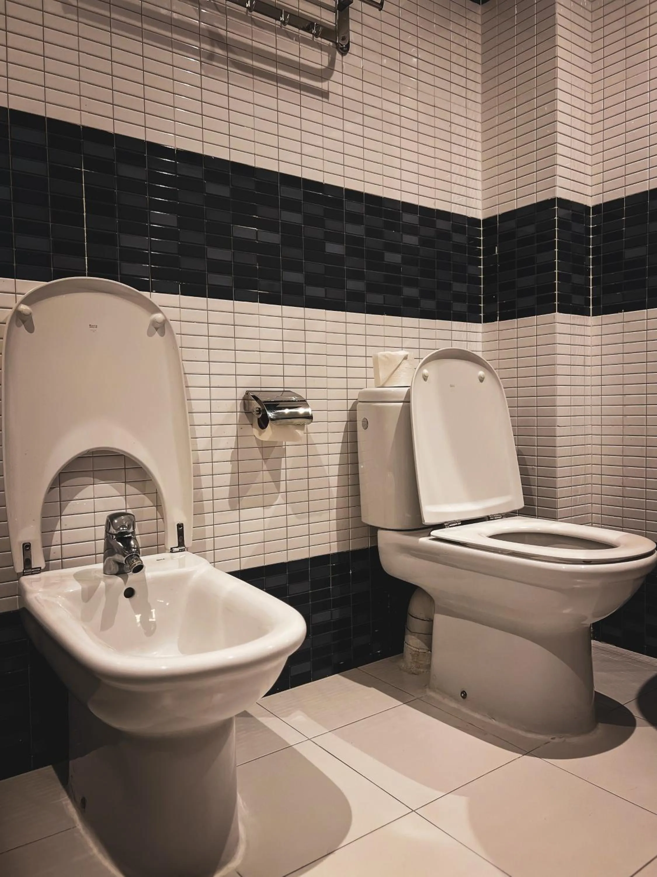 Toilet in Hôtel Rembrandt