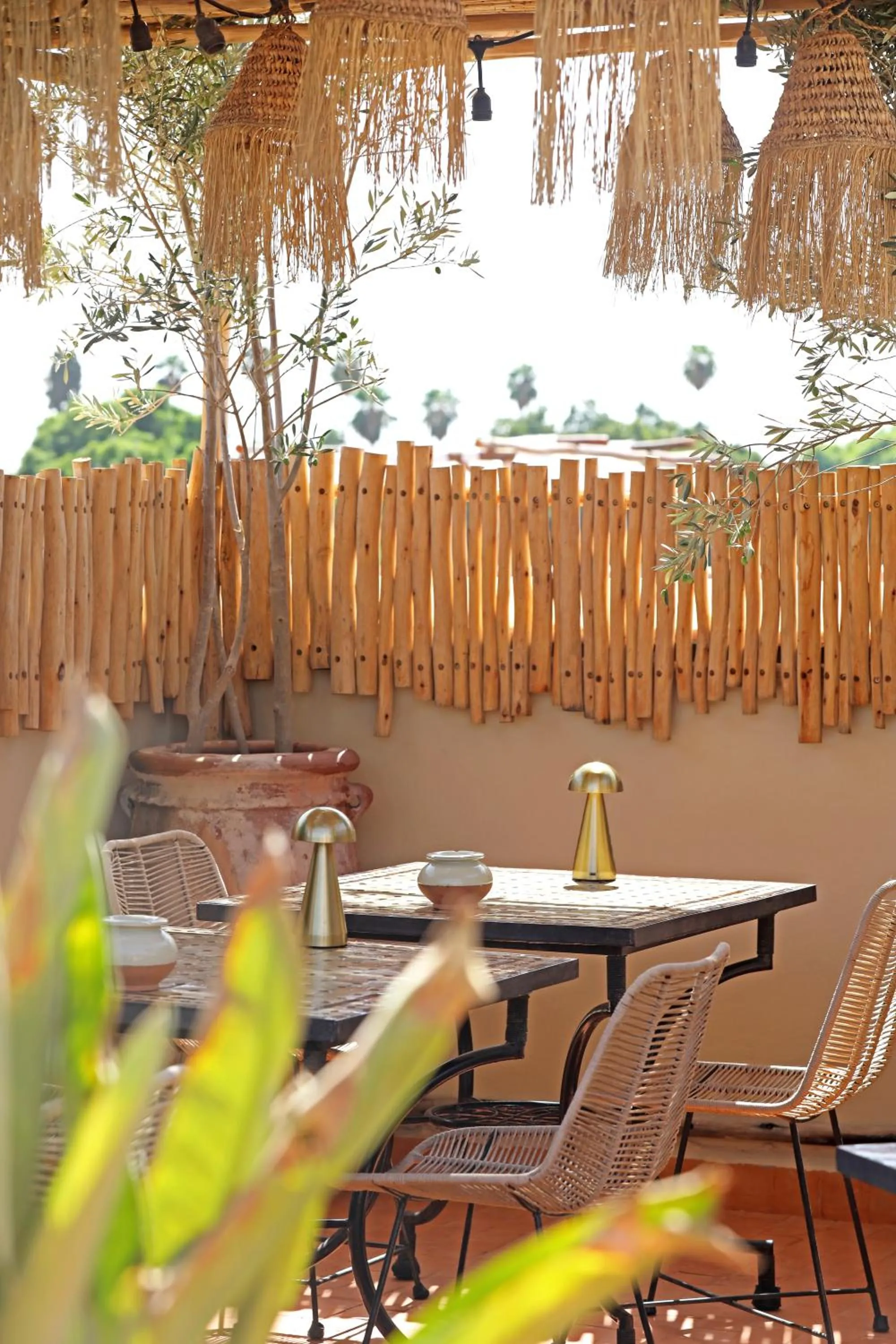 Day in Riad Dar Beldia and Spa