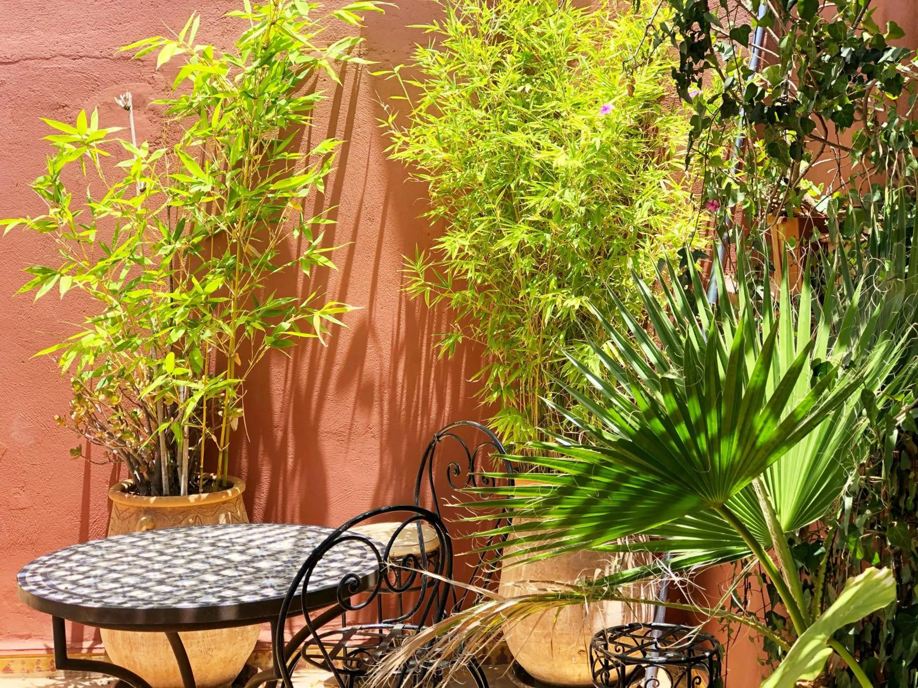 Garden in Riad Al Mamoune