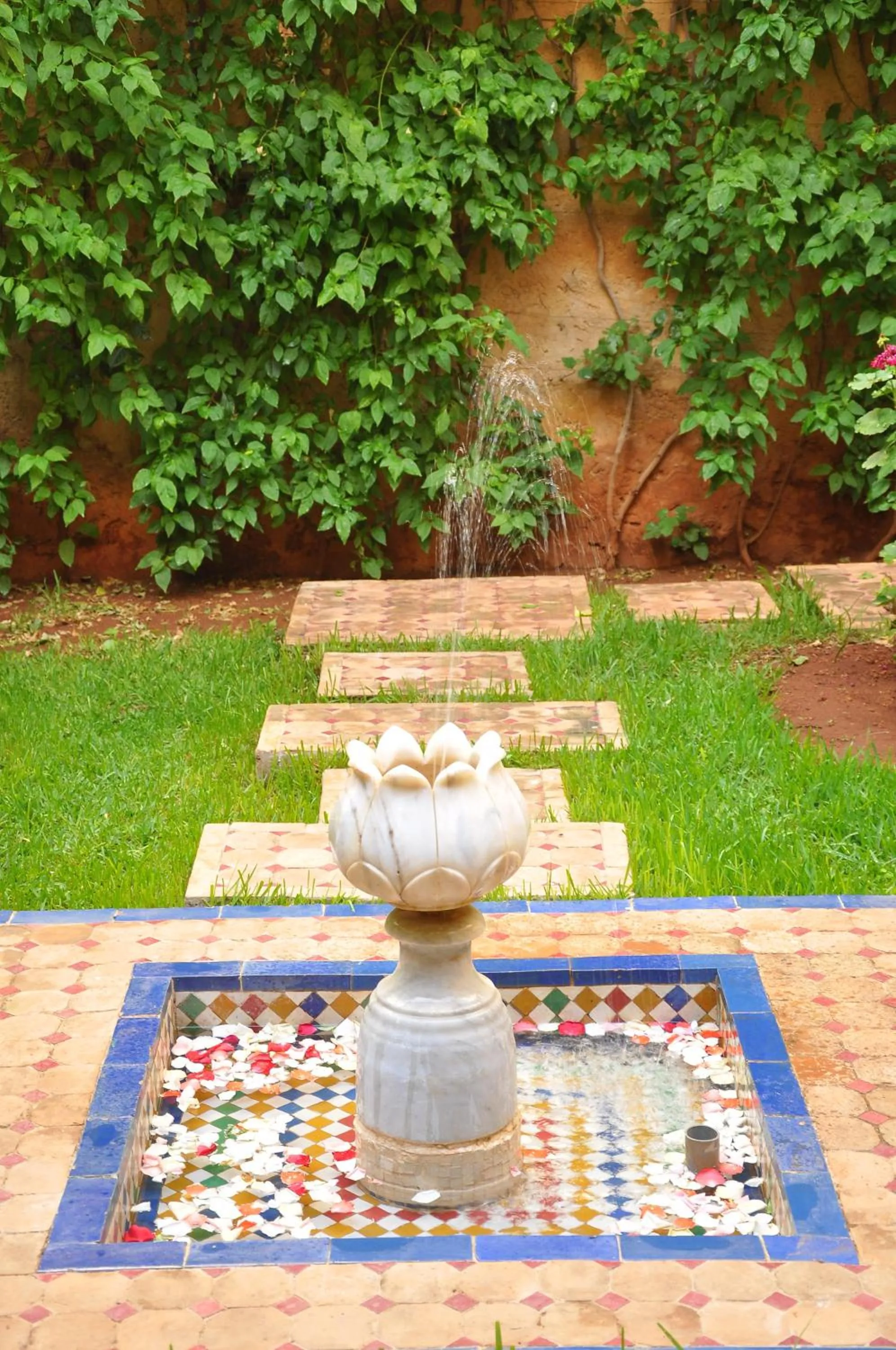 Garden in Riad Au 20 Jasmins