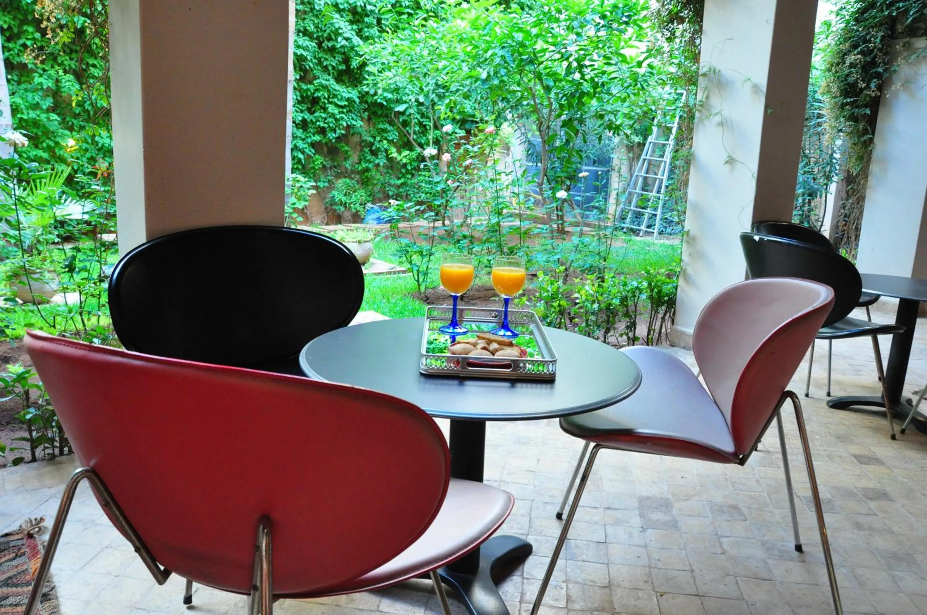 Garden in Riad Au 20 Jasmins