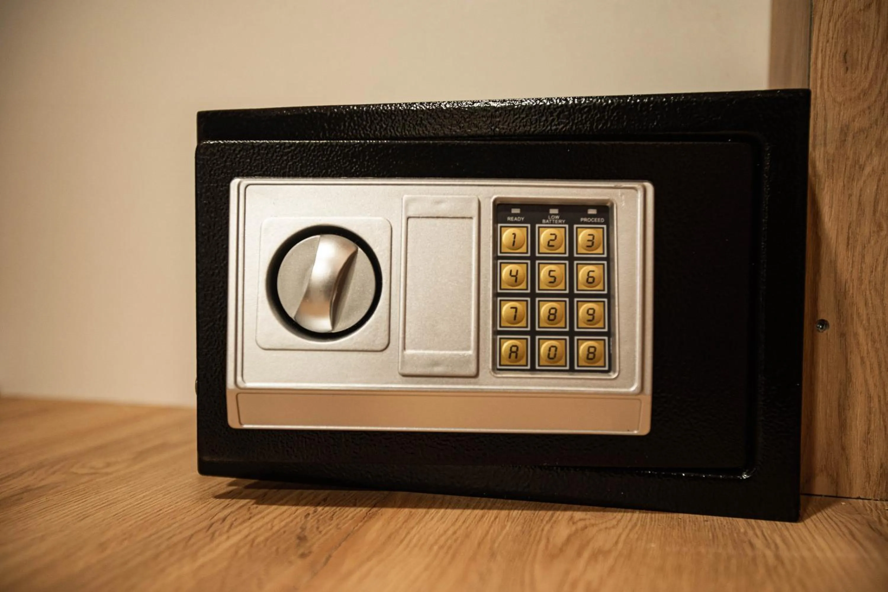 safe in Hotel Memoir Kazbegi by DNT Group