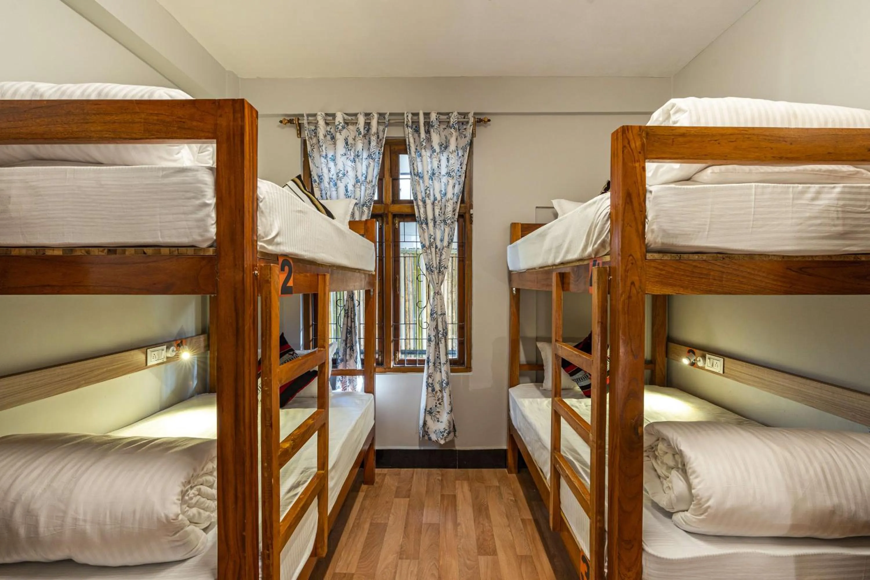 bunk bed, Bed in Zostel Shillong