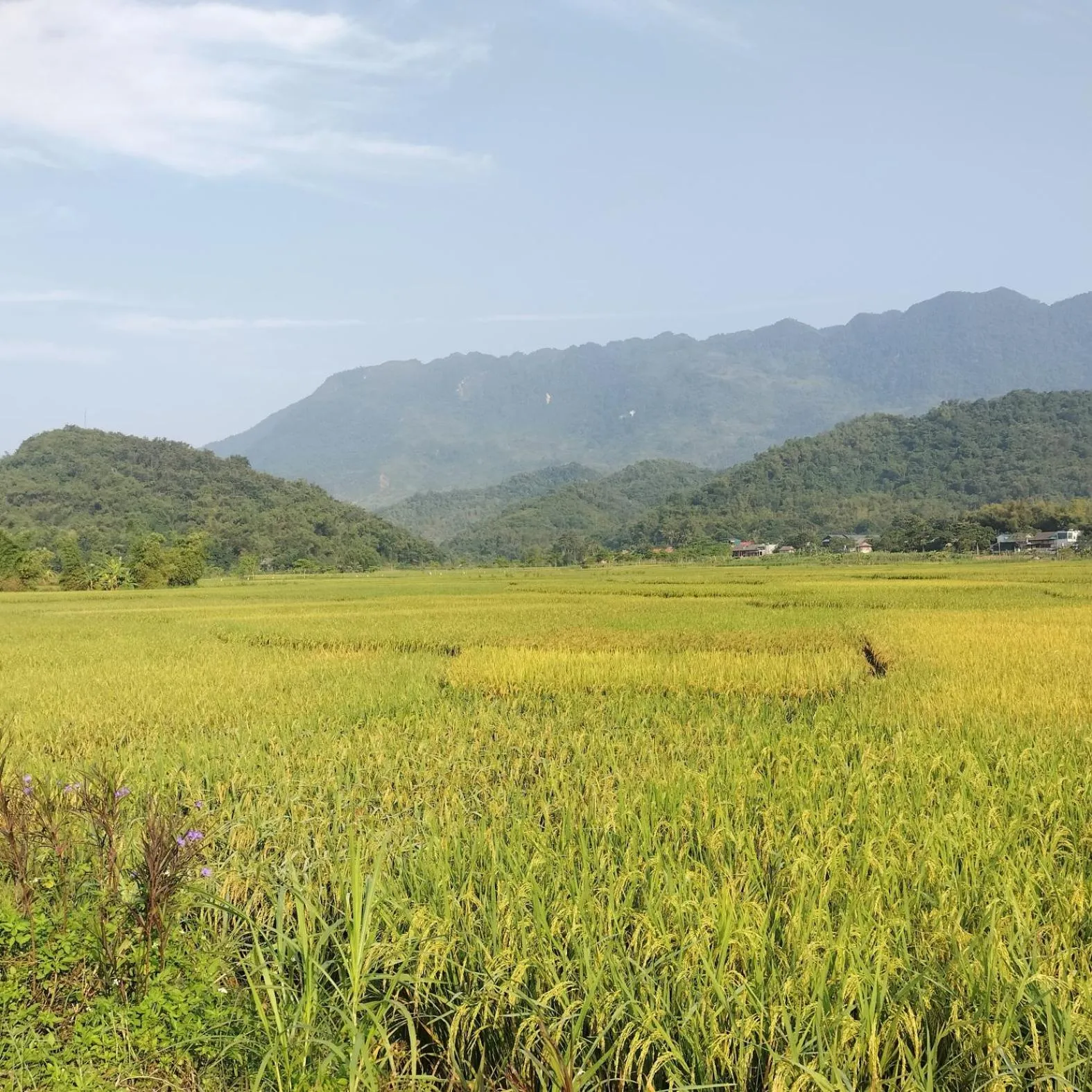 Other in Duong Thim Homestay Mai Chau