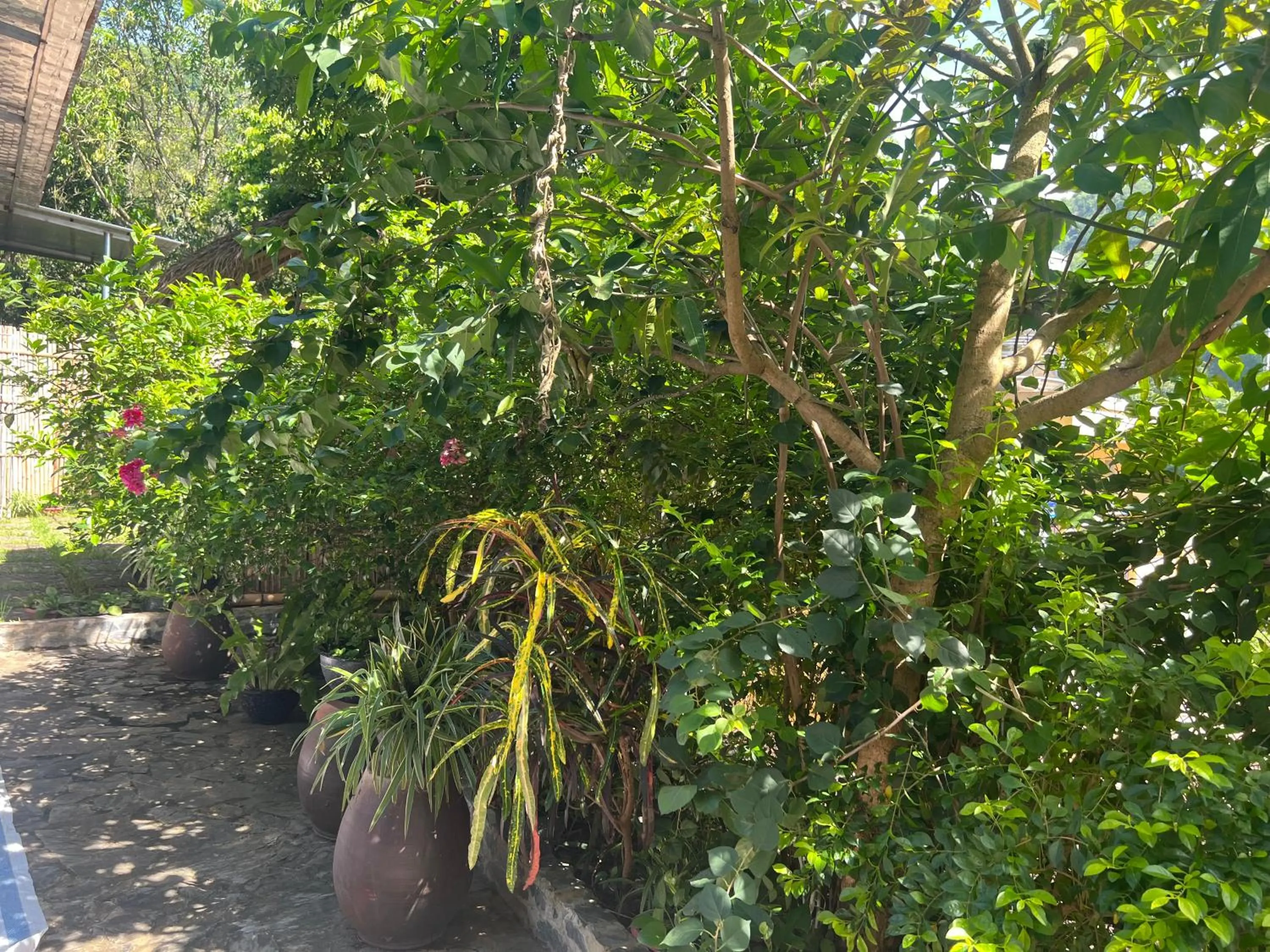 Duong Thim Homestay Mai Chau