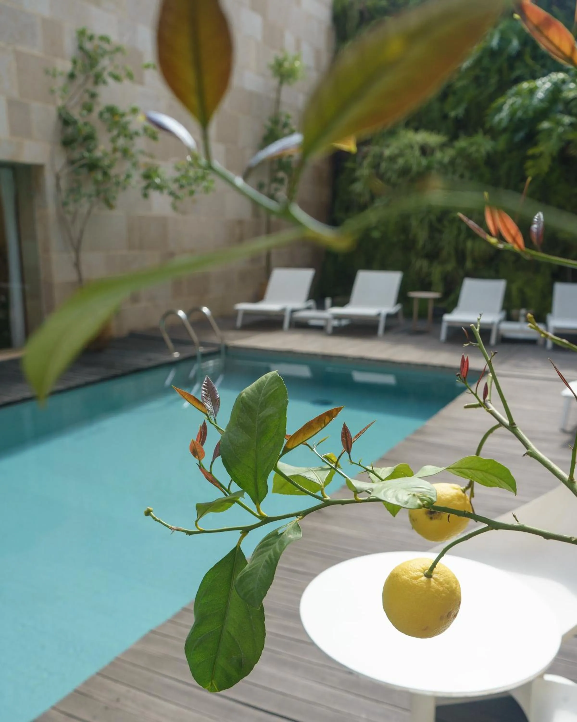 Pool view in Riad Fes - Relais & Châteaux